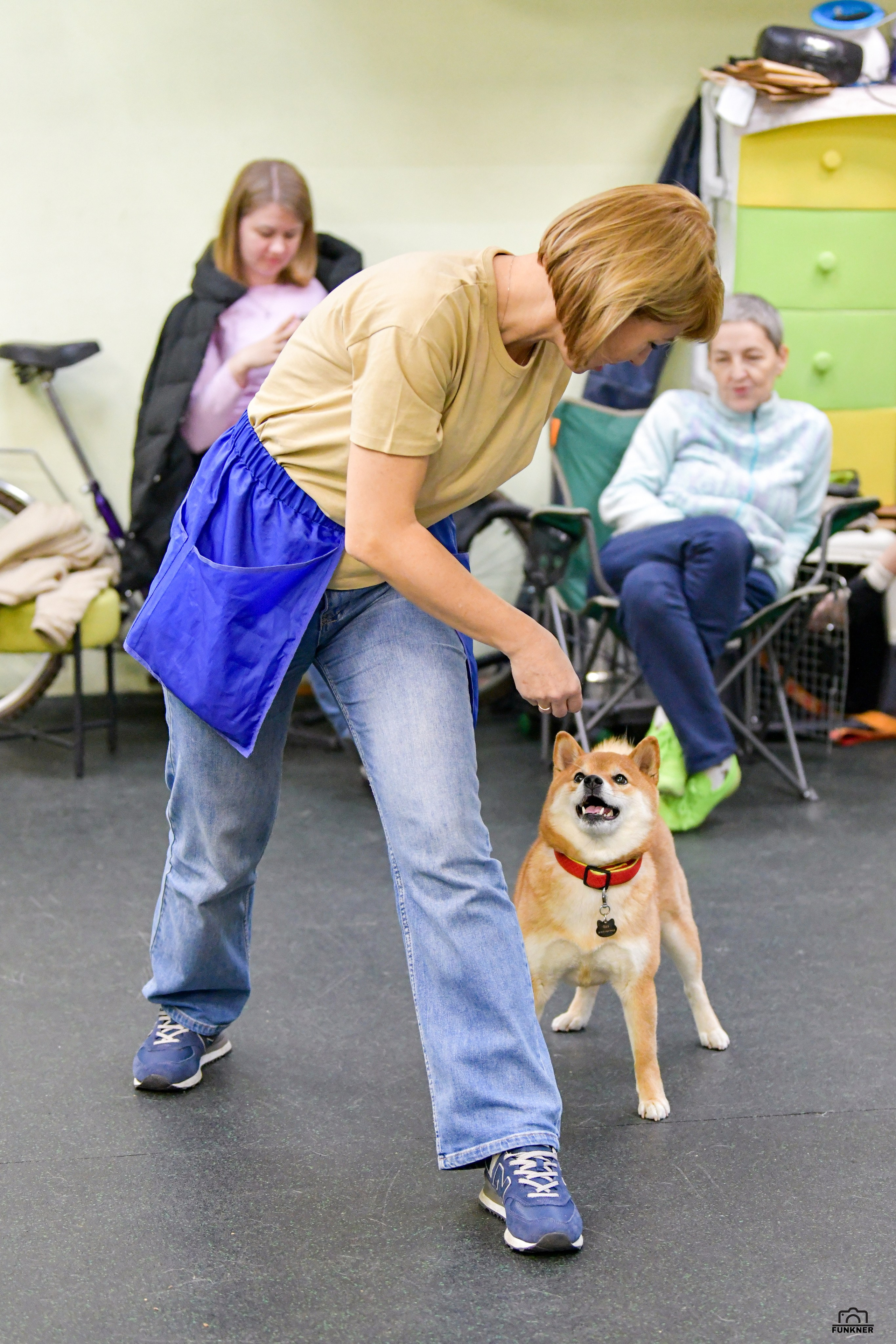 Кинологический клуб «Бодрый хвост». Свой взгляд через объектив