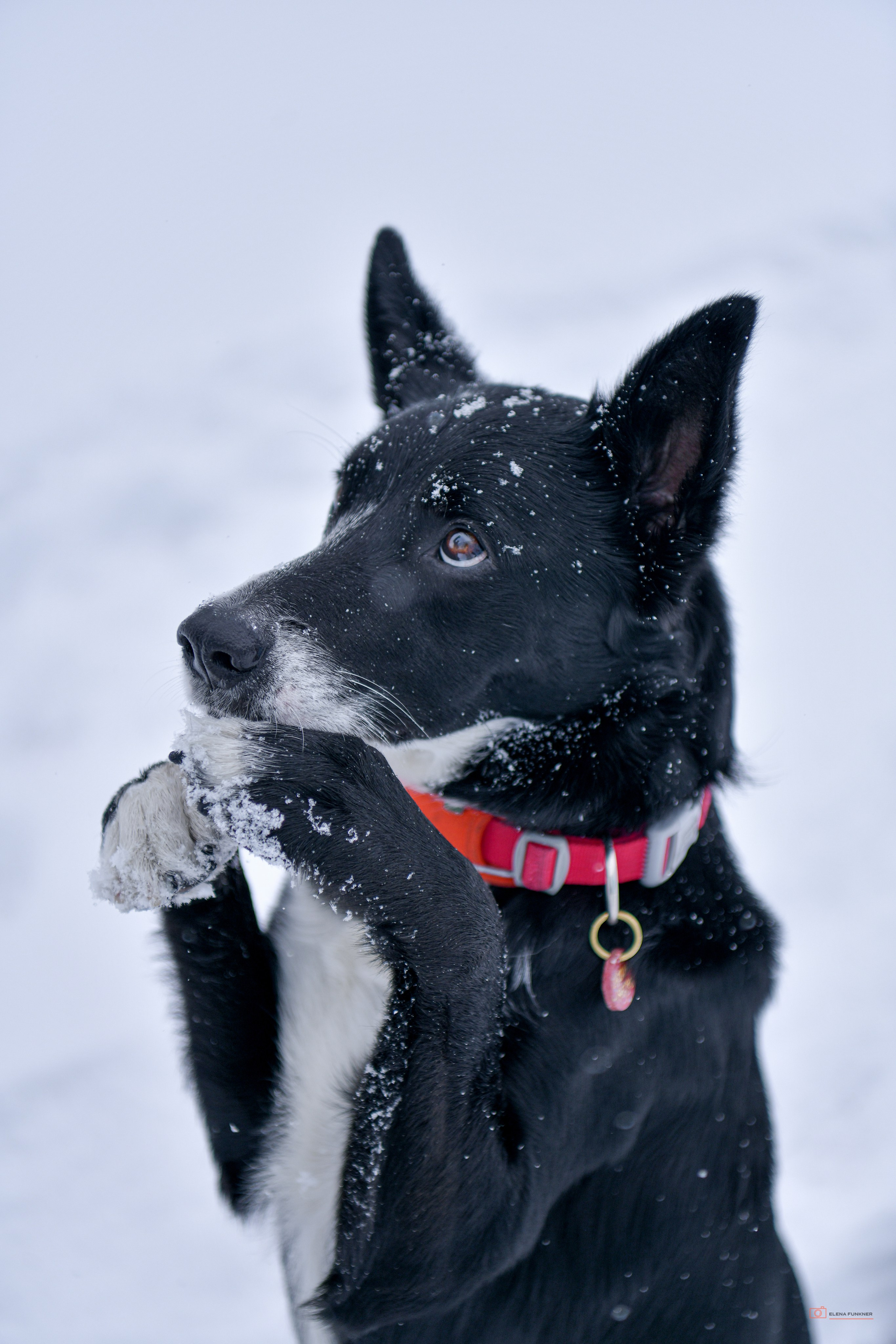 Зима. Свой взгляд через объектив