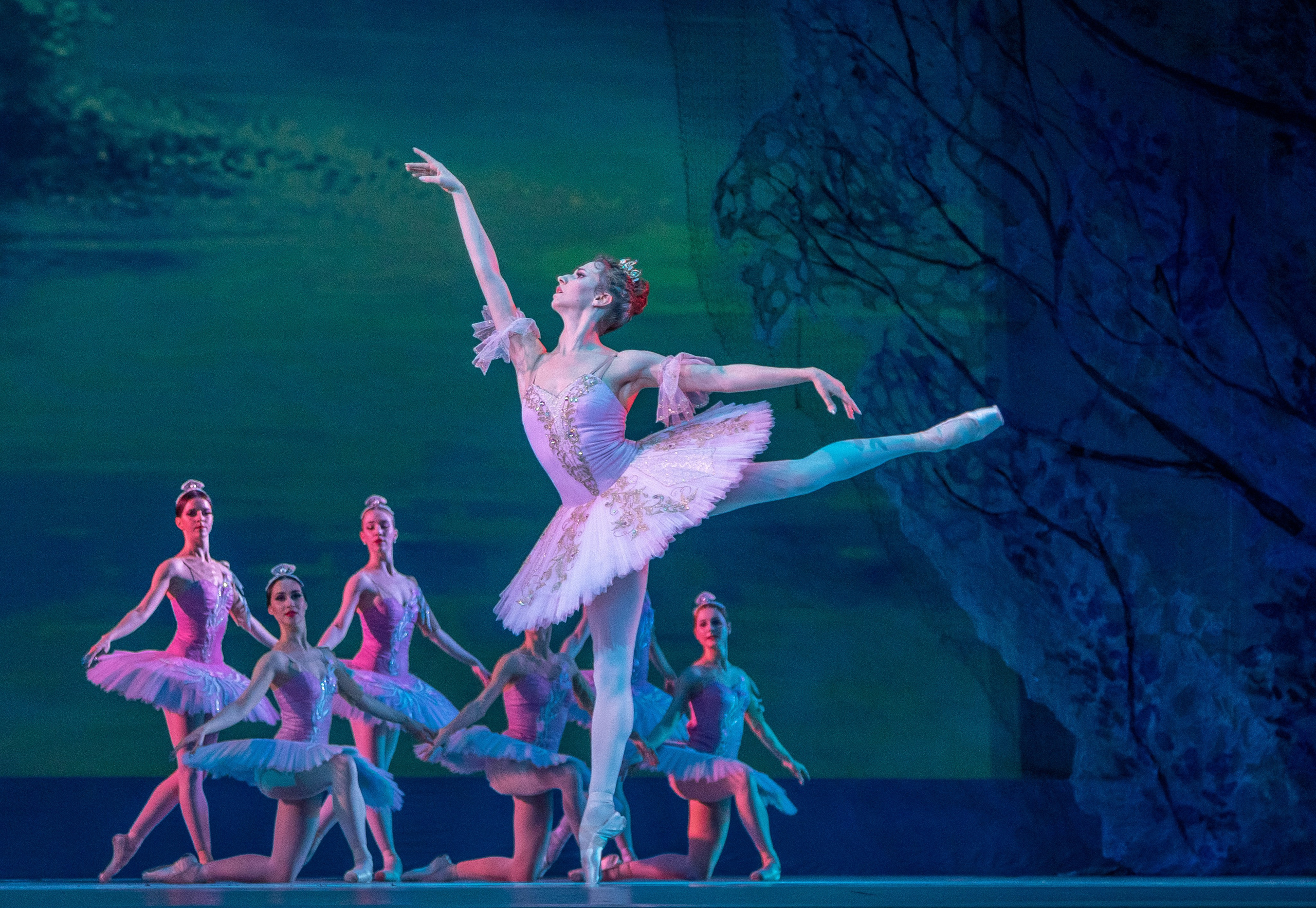 Театр. Балетный фотограф в Москве Галина Молчанова