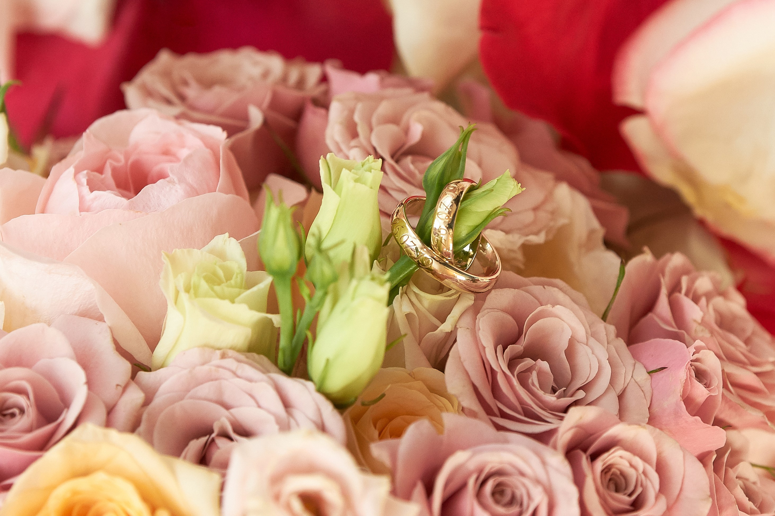 Выездная регистрация свадьбы. Фотограф Владимир Артамонов