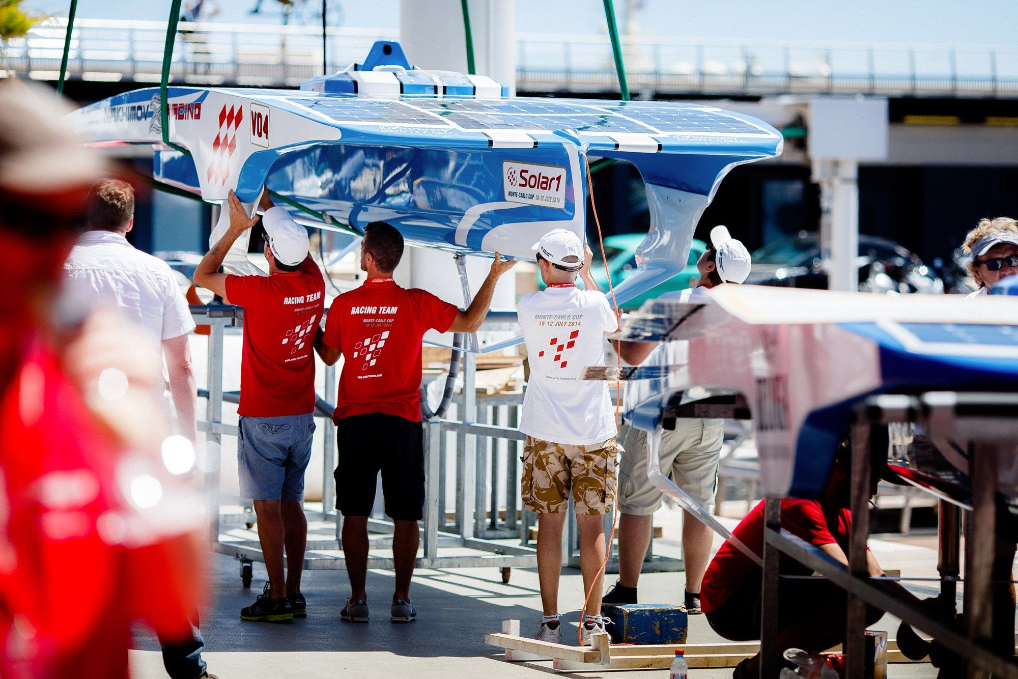 Report VIII. Veedoff