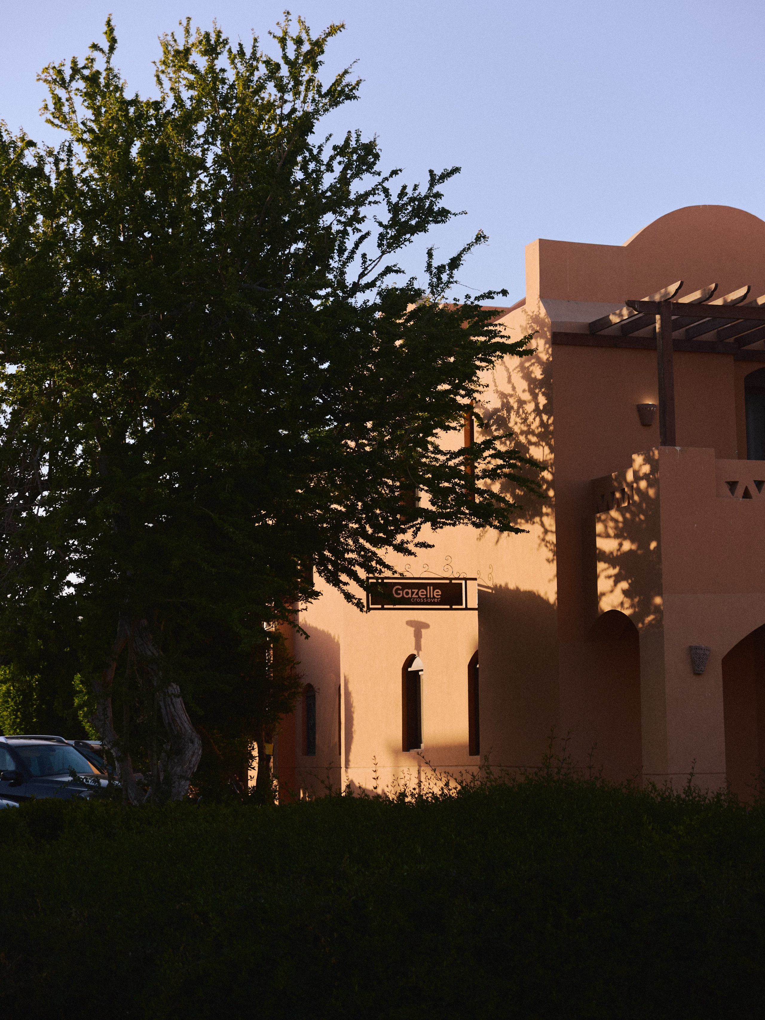 Природа сквозь. Jorgis Talè — photographer, kind person, teacher of arts and other mag