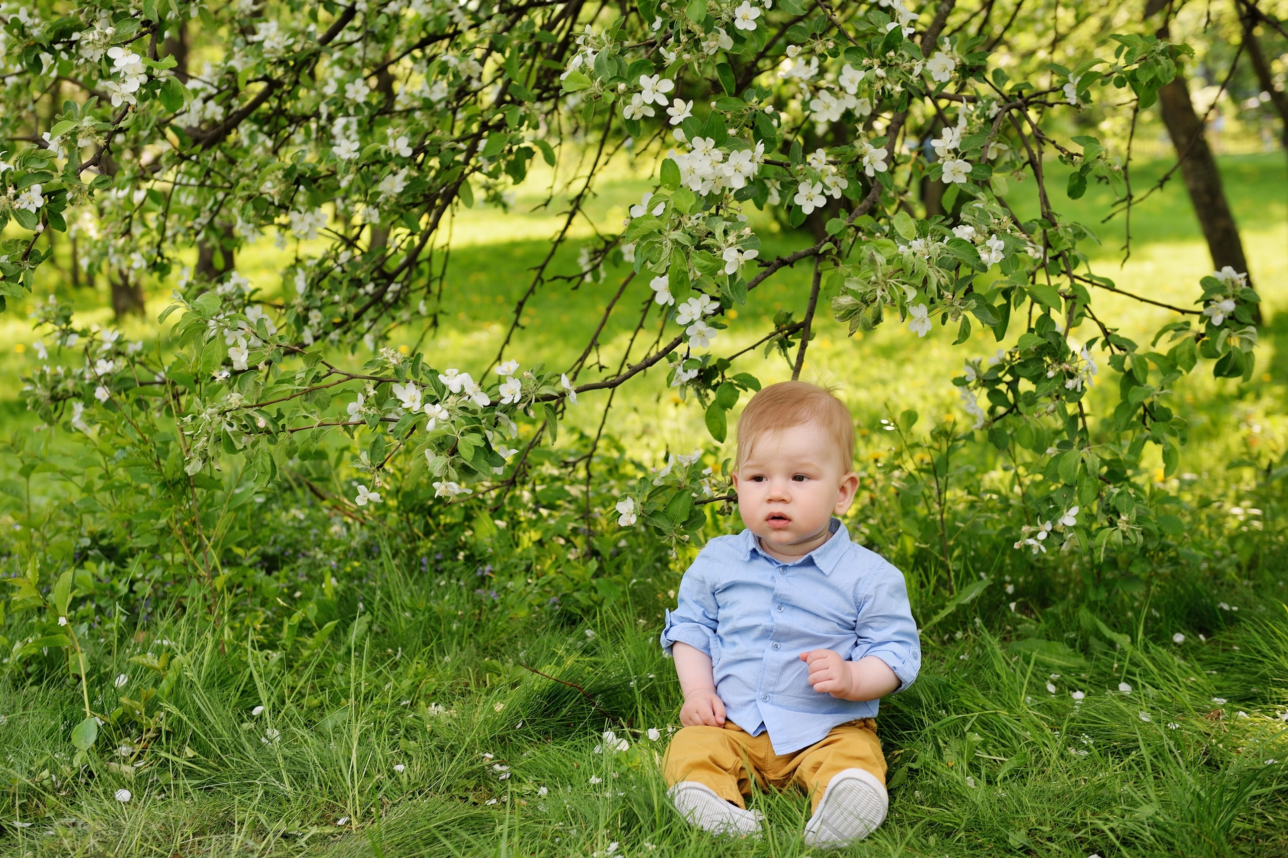 Детская съемка. Cвадебный фотограф в Москве и Московской области Юрий Мисиюк