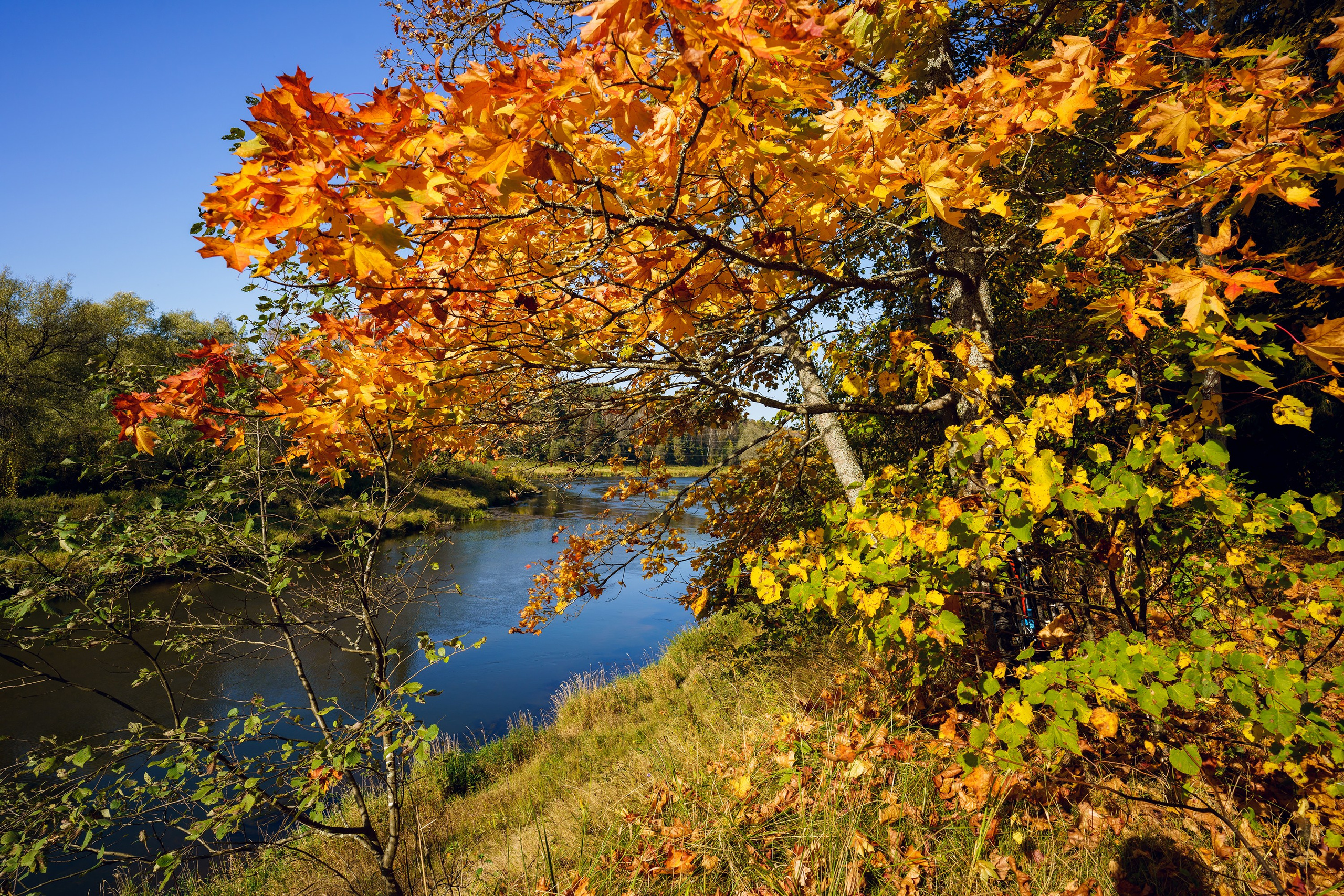 Фотографии Большая Калужская Тропа. Фотограф спортивные события, недвижимость, турбизнес