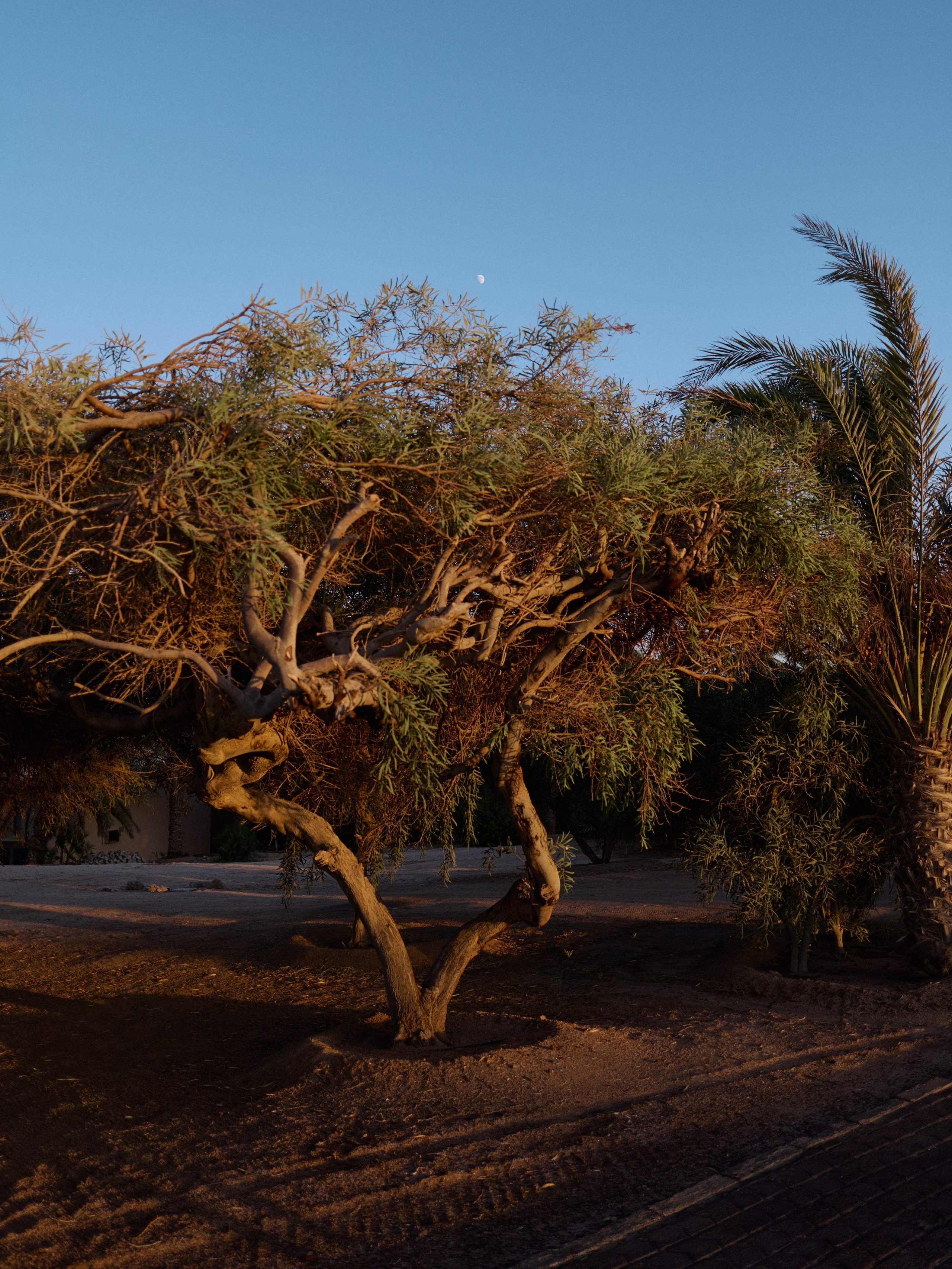 Другое 3. Jorgis Talè — photographer, kind person, teacher of arts and other mag