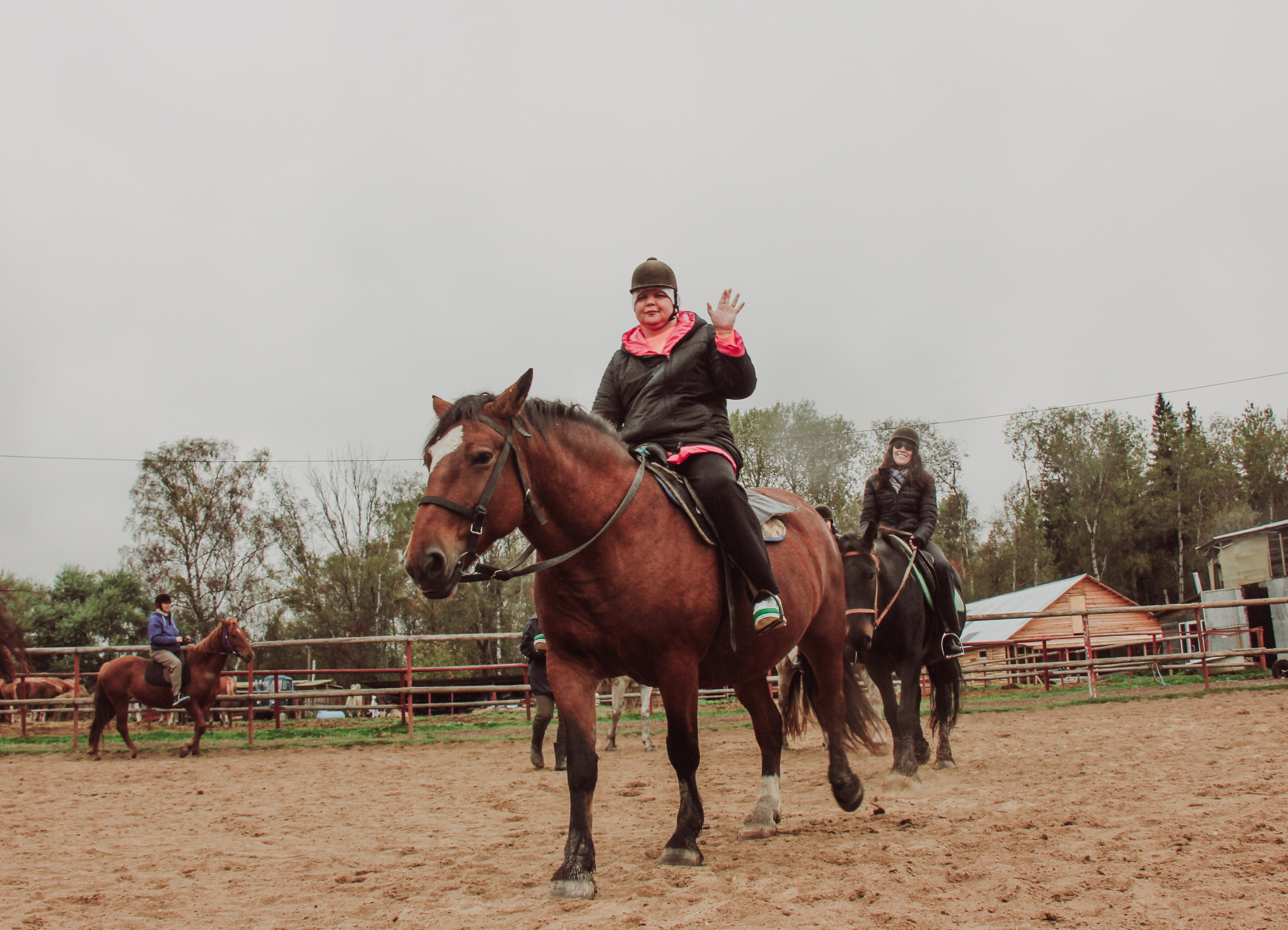 Лошадинг | 27.09.2025. Галерея Фантим