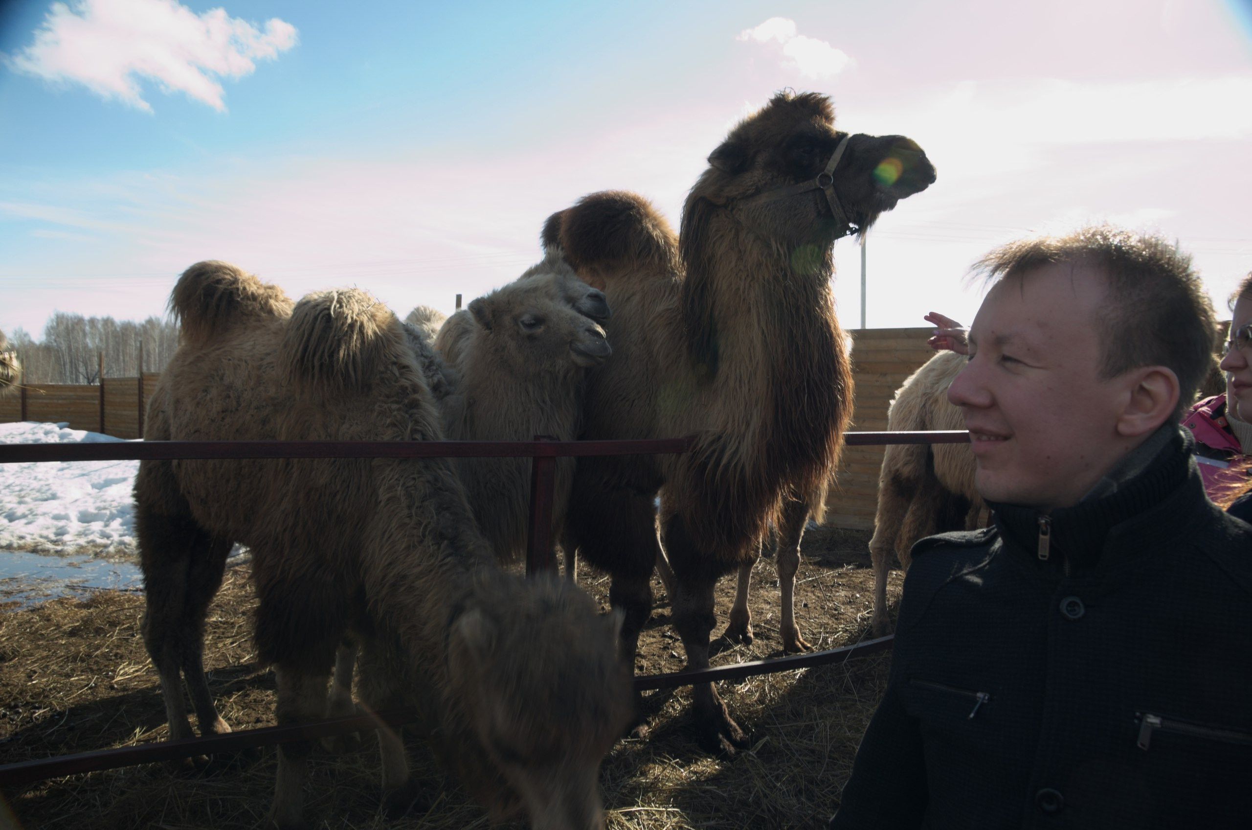 Казань | 24-26.03.2017. Галерея Фантим