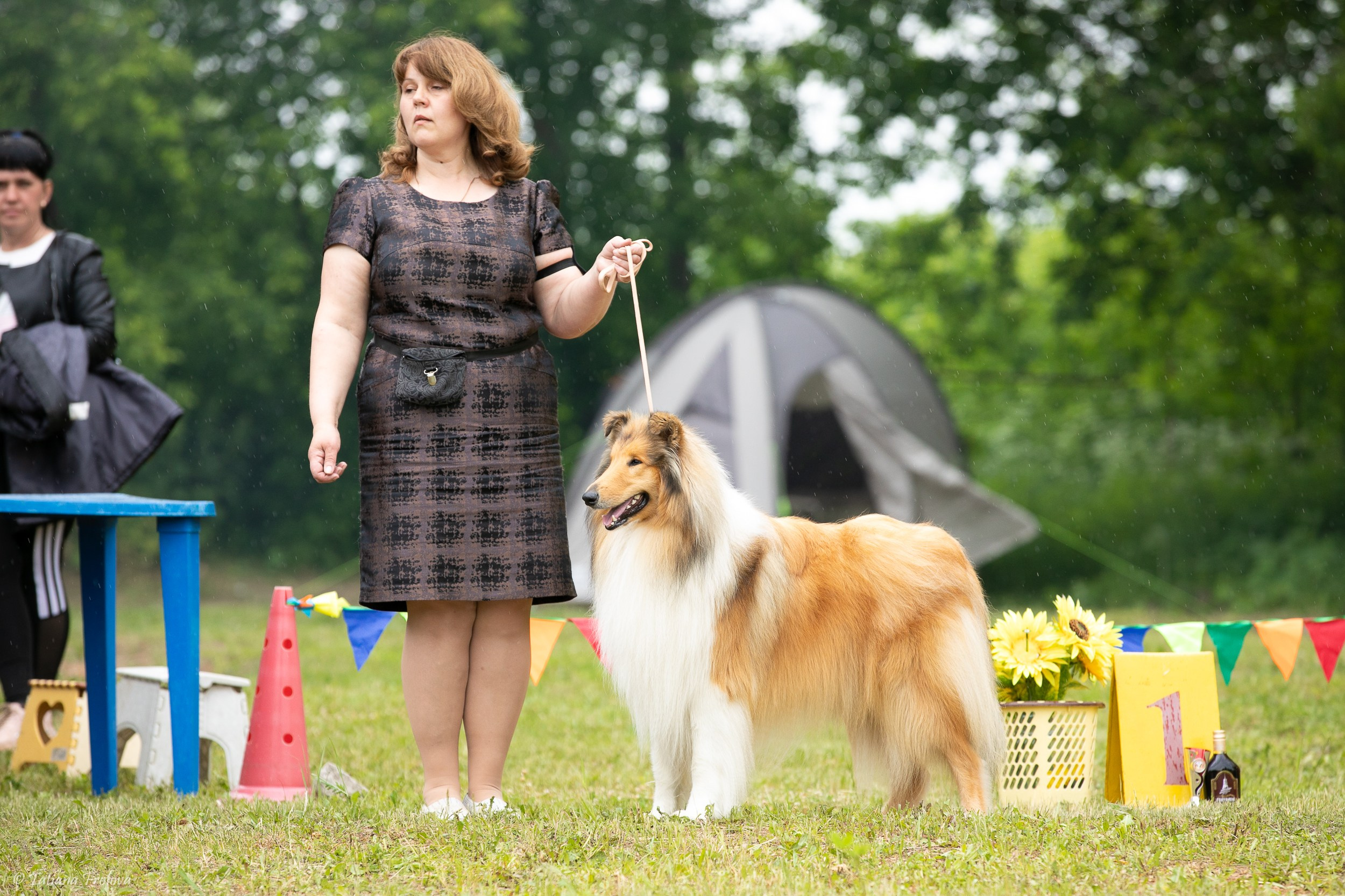 Фотосопровождение выставки собак в Московской области и Москве. Фотограф-анималист в Москве и Московской области Татьяна Фролова