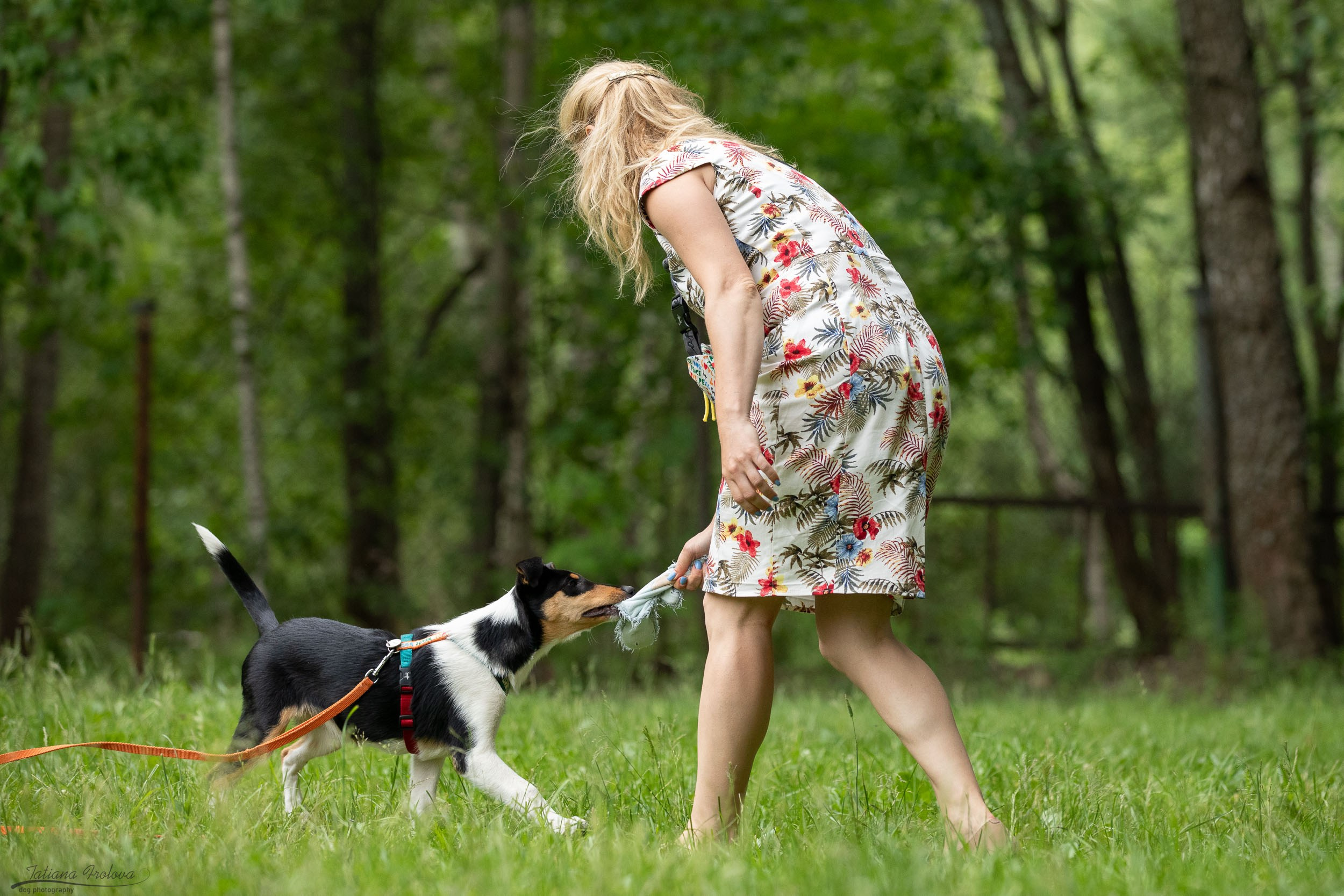 Репортаж с выводки молодняка колли/шелти в Ясенево. Фотограф-анималист в Москве и Московской области Татьяна Фролова