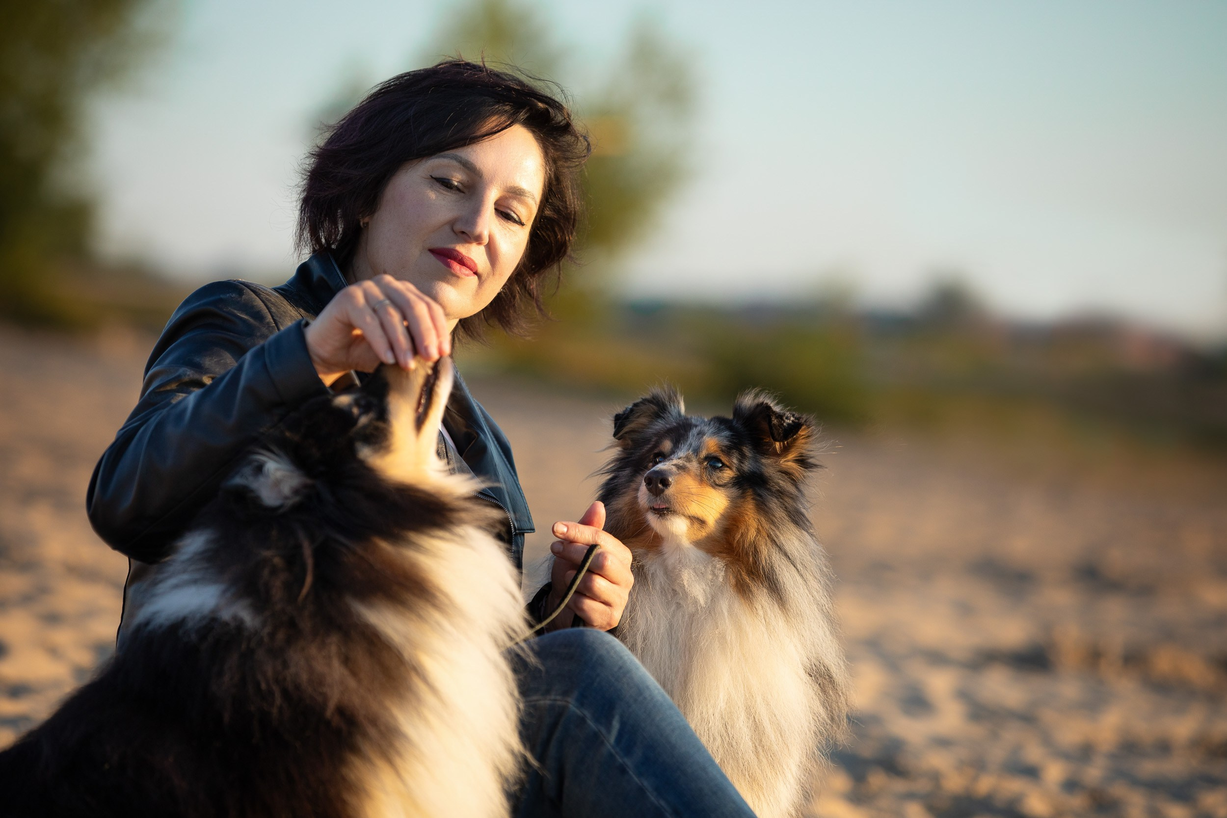 Съемка с шелти на рассвете на песчаном карьере. Фотограф-анималист в Москве и Московской области Татьяна Фролова