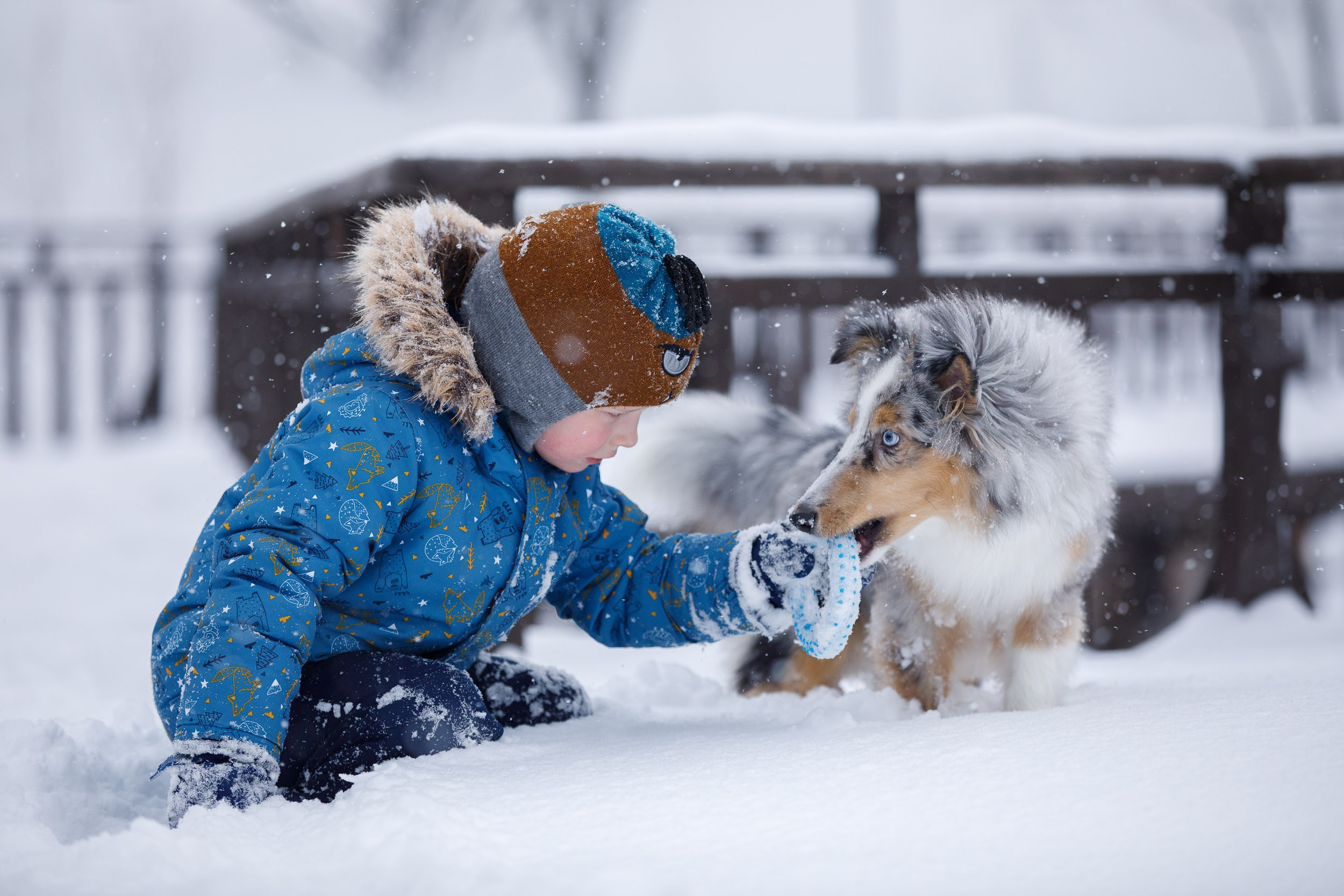 Съёмка ребенка и щенка. Фотограф-анималист в Москве и Московской области Татьяна Фролова