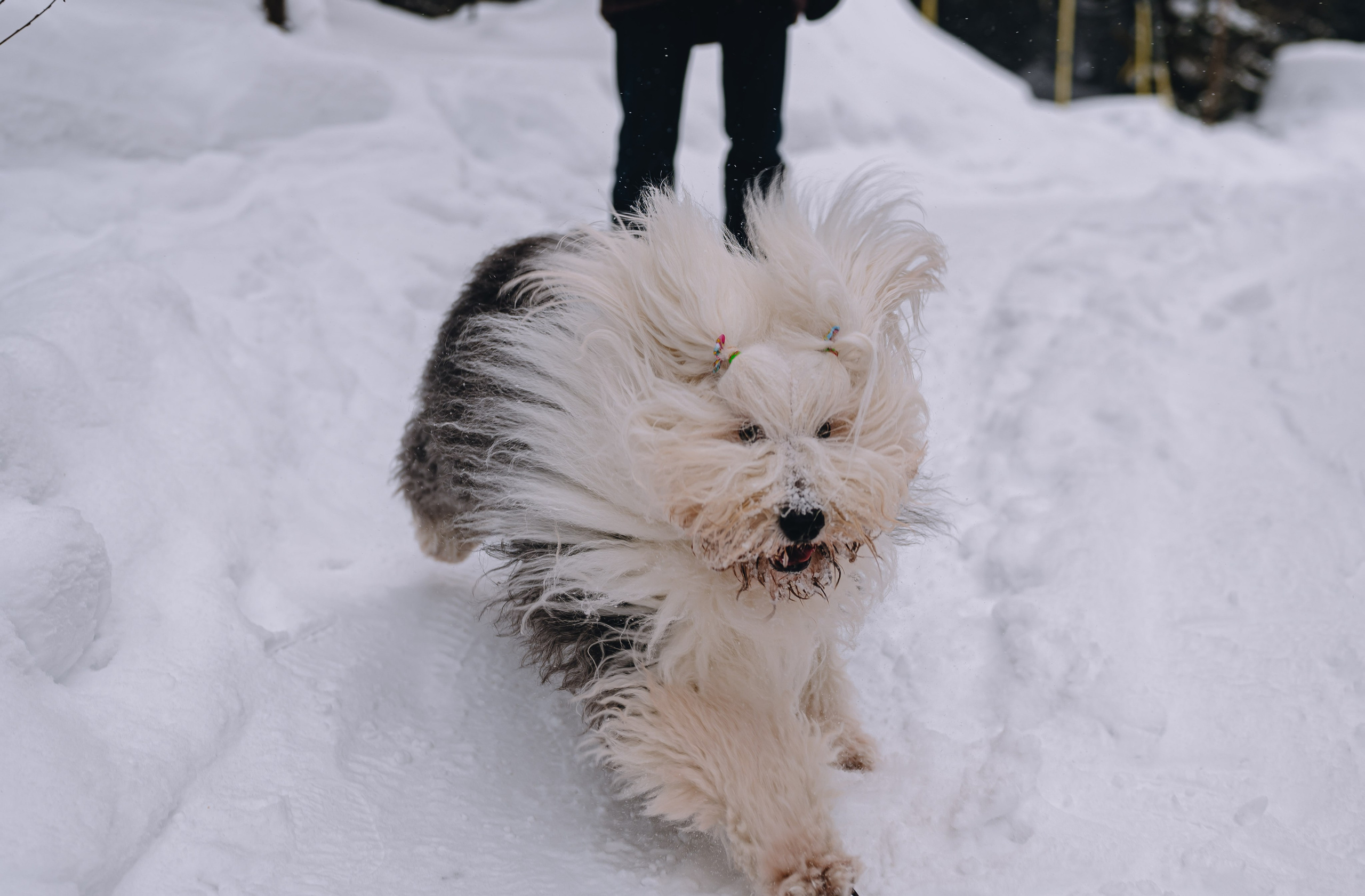 Выездные Фотосессии. Свадебный и семейный фотограф в Томске Алексей