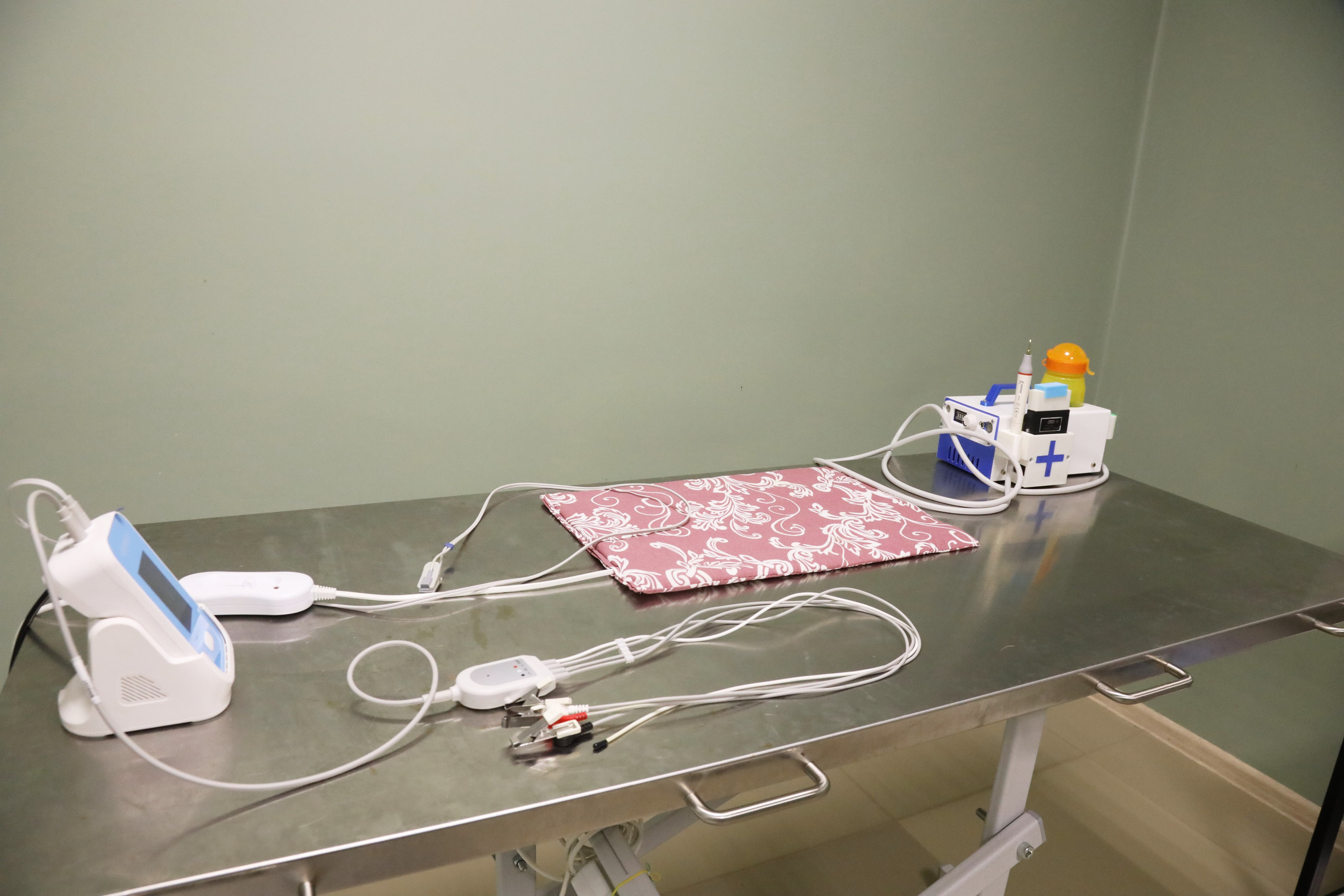 Ветеринарная клиника «Мокрый нос». Фотограф Сергей Феденко