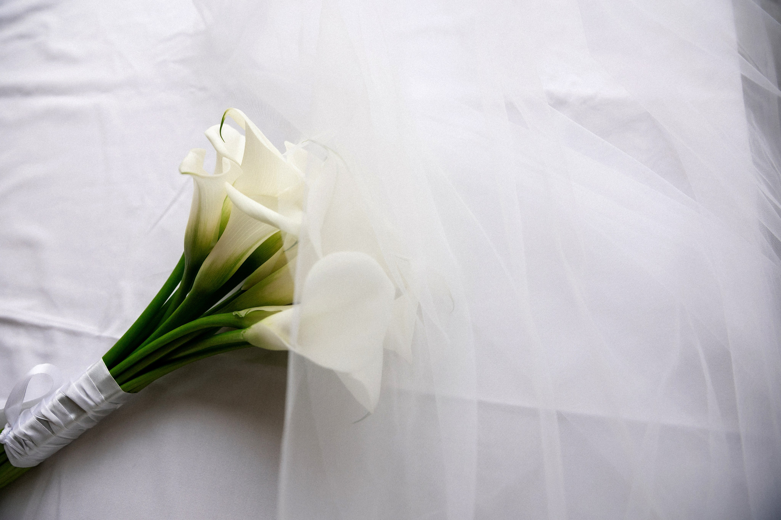 Свадьба. Портретный фотограф Санкт-Петербург Москва Андронова Юлия