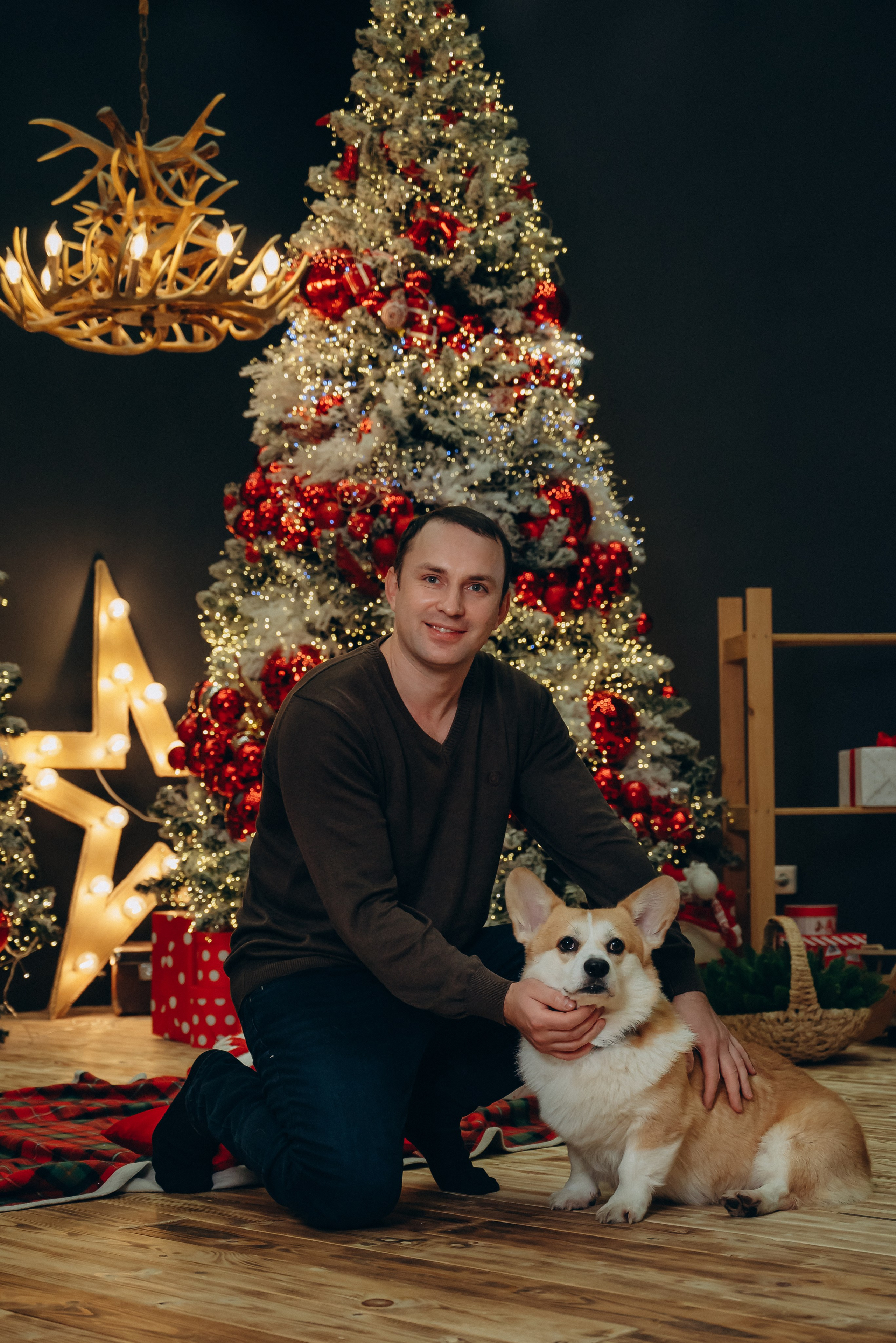 Новый год с корги