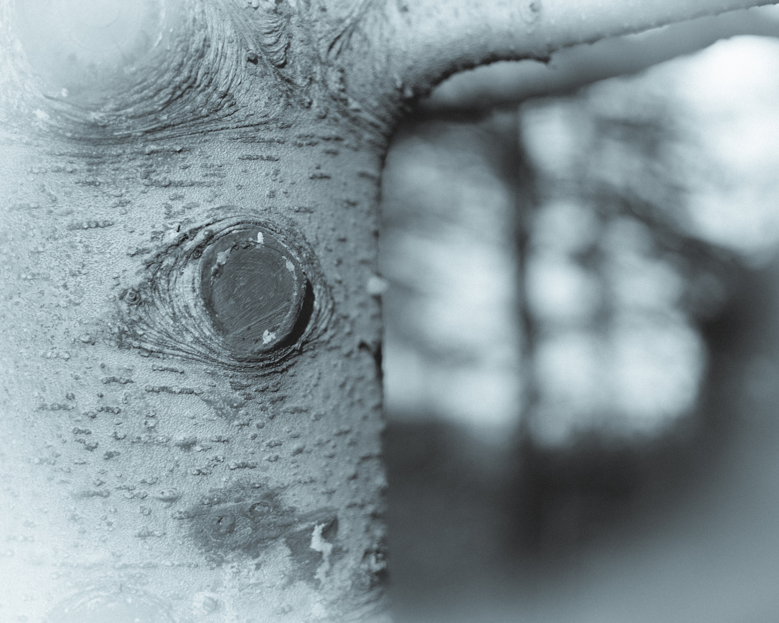 Silence. Главная