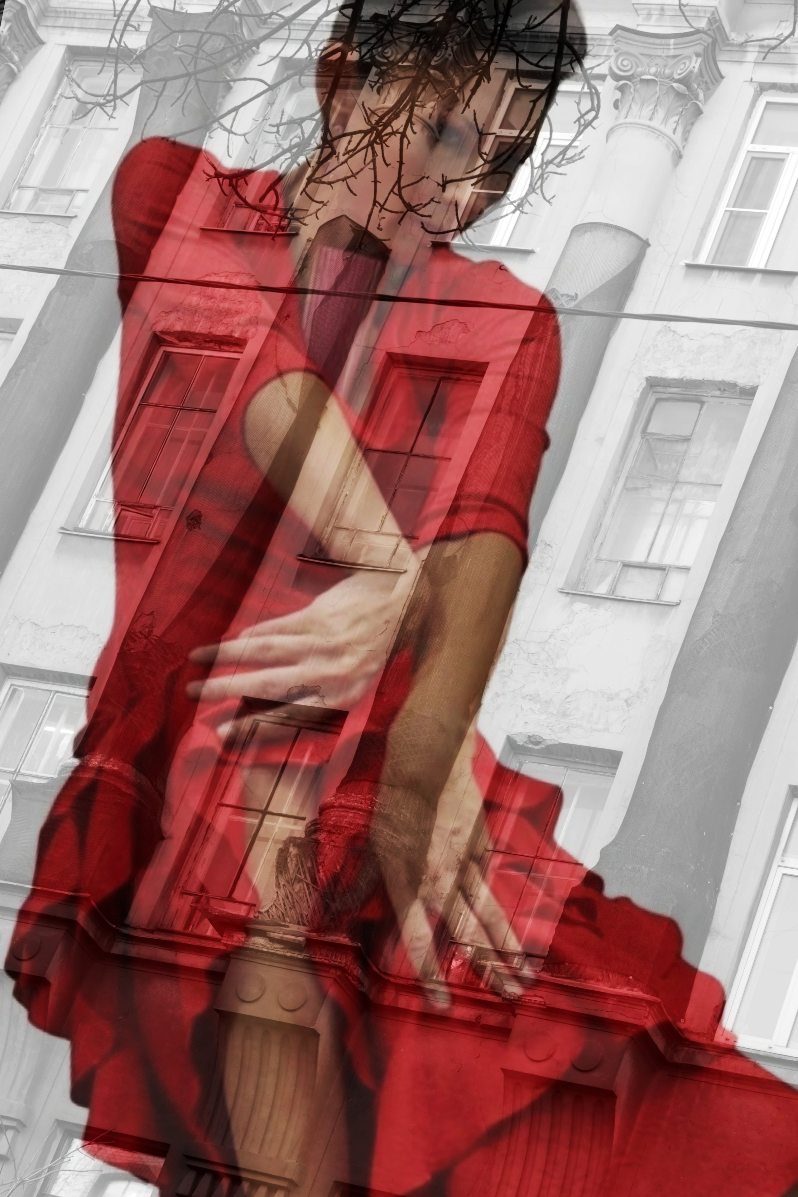 фотография серия фотографий для выставки фламенко