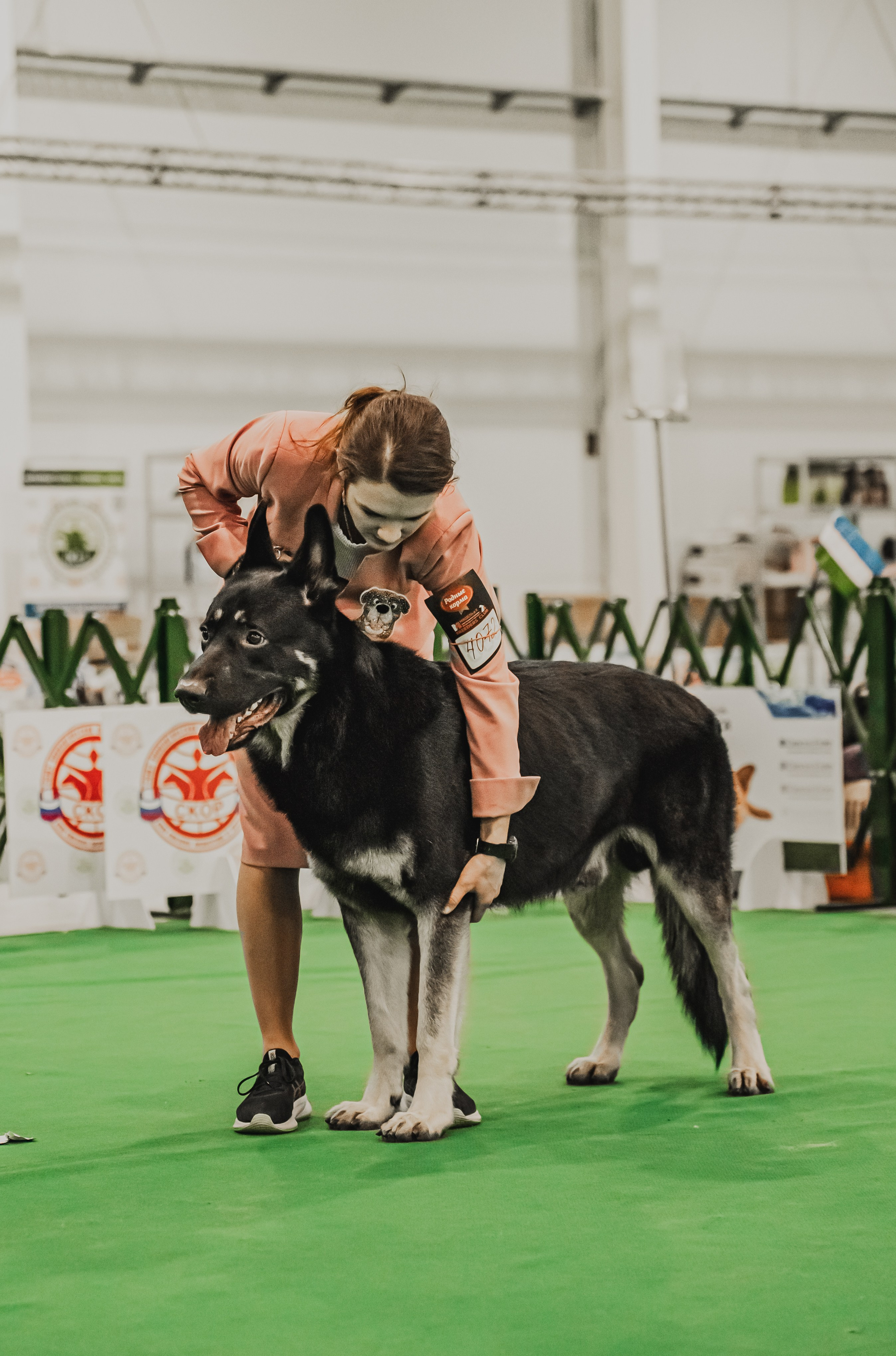 Международная выставка собак всех пород. Репортажный фотограф Анастасия Рубцова