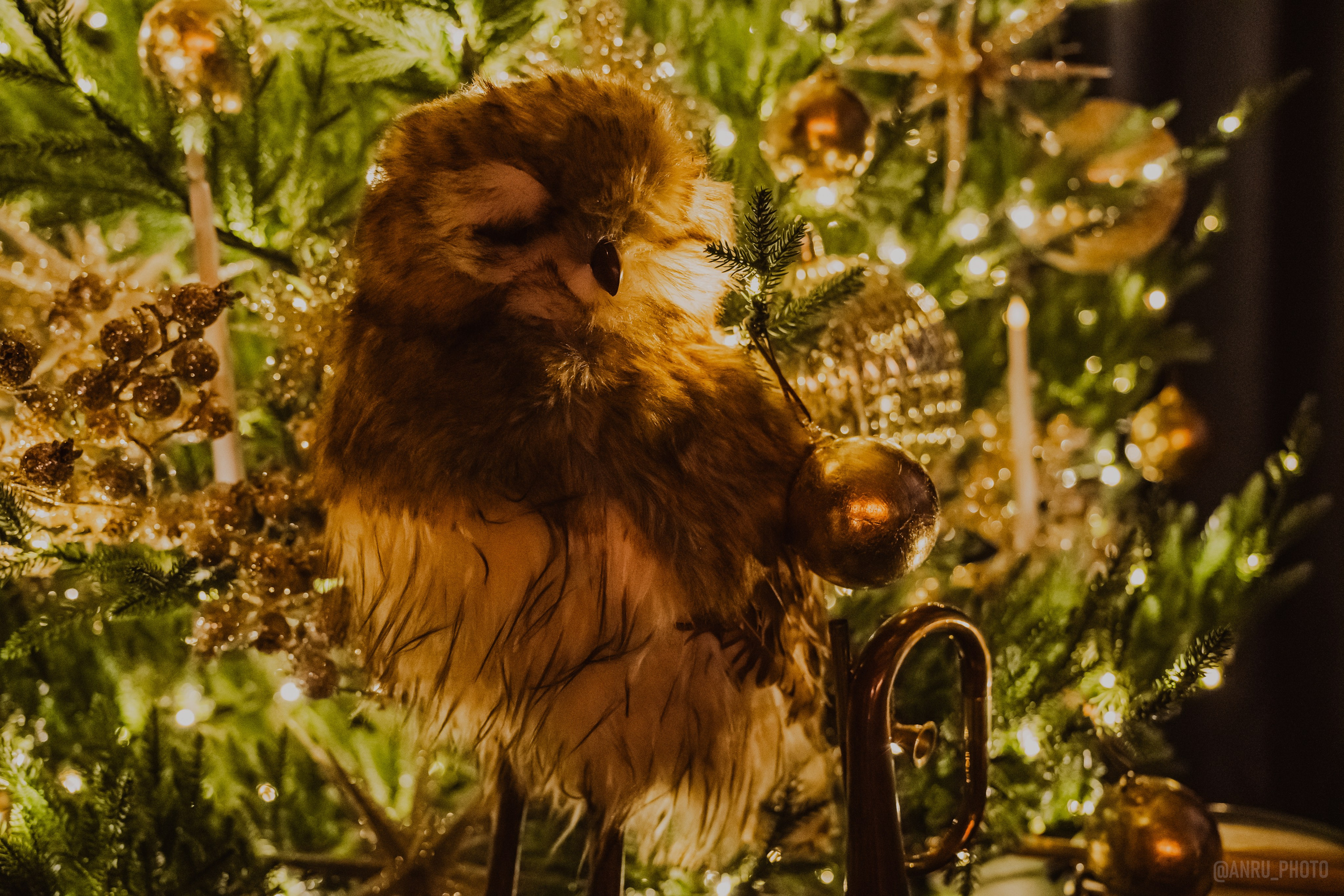 День Альфреда Хичкока. Репортажный фотограф Анастасия Рубцова