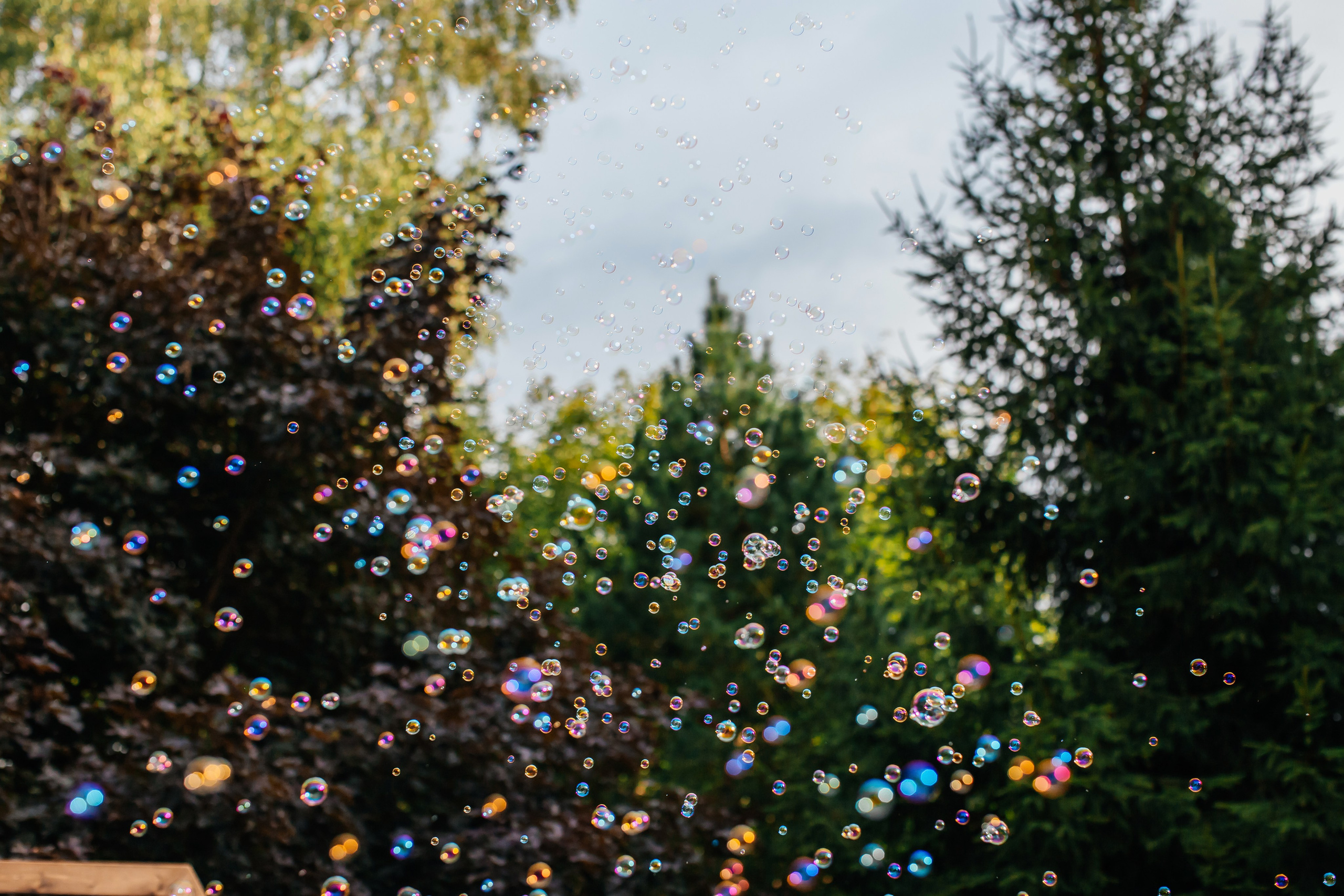 Свадьба Сергей и Ангелина. Анастасия Давыдова