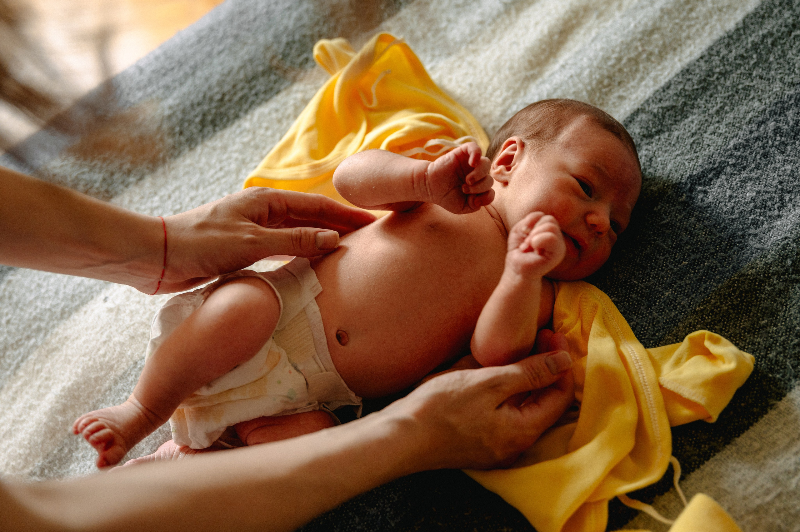 КАТЯ, КОЛЯ И ЗЛАТА. Шашкова Вероника / Свадебный и семейный фотограф Москва и Ярославль