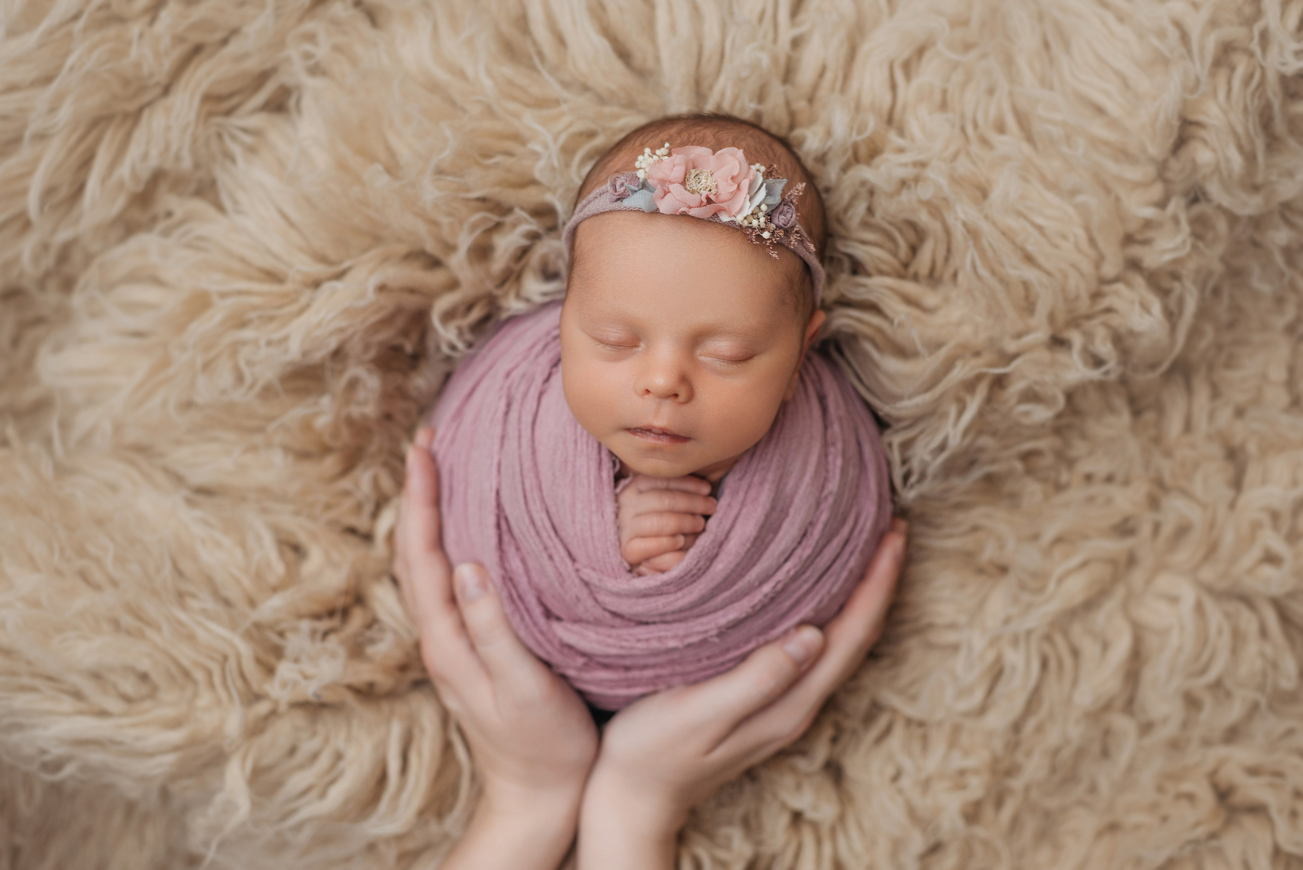 Вера. Фотограф новорожденных Белгород