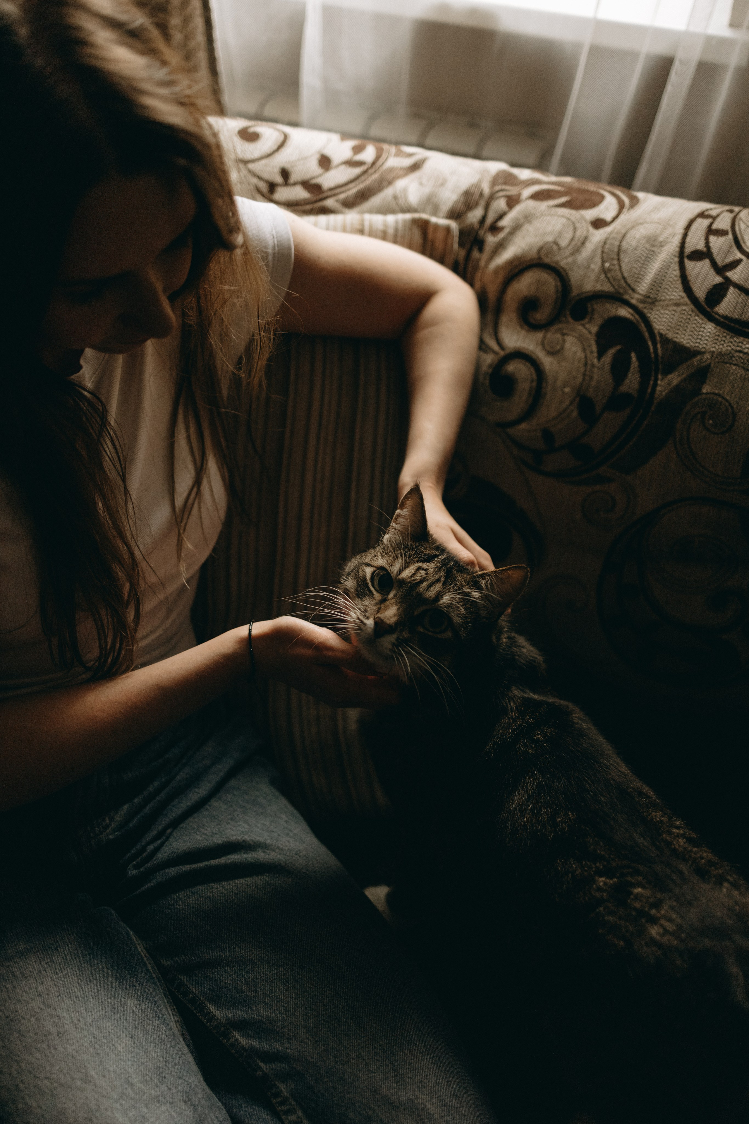 Софа и ее хвостики. Фотограф — Анималист | Санкт-Петербург