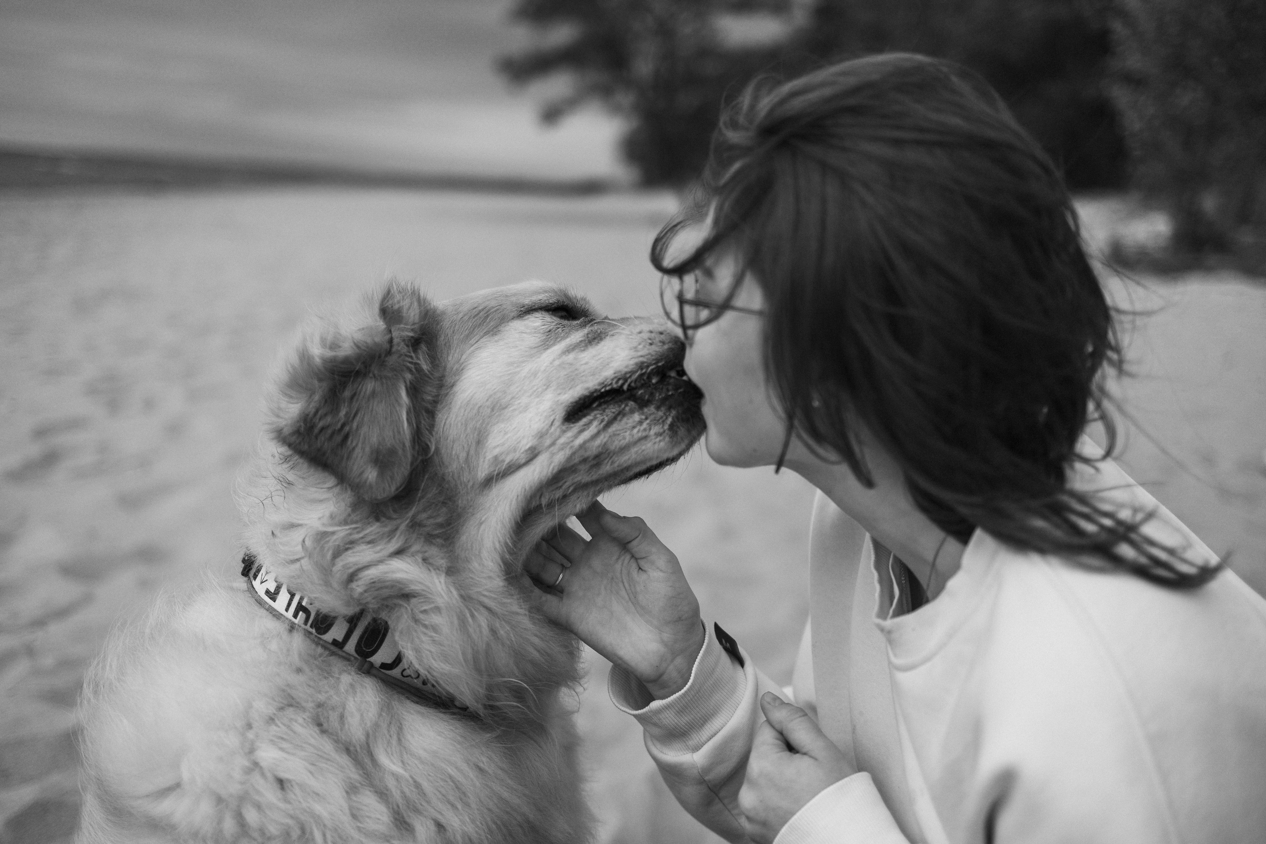 Фоси и его семьи. Фотограф — Анималист | Санкт-Петербург