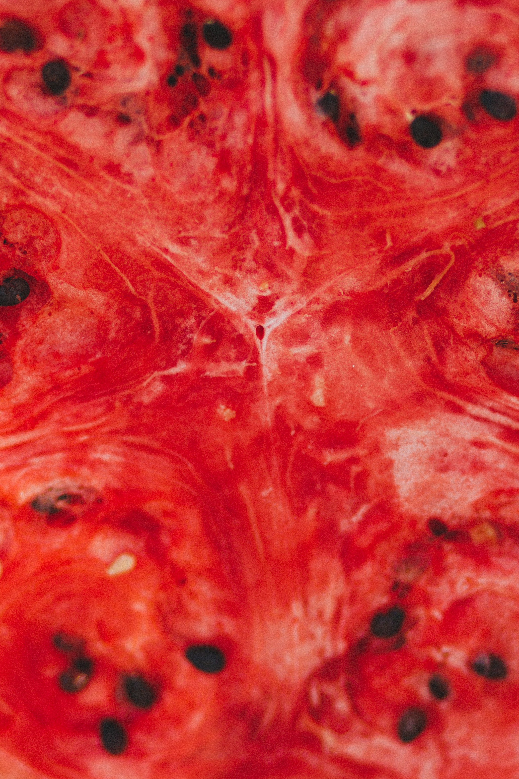 Даша и Андрей. Фотограф Дубровская Виктория