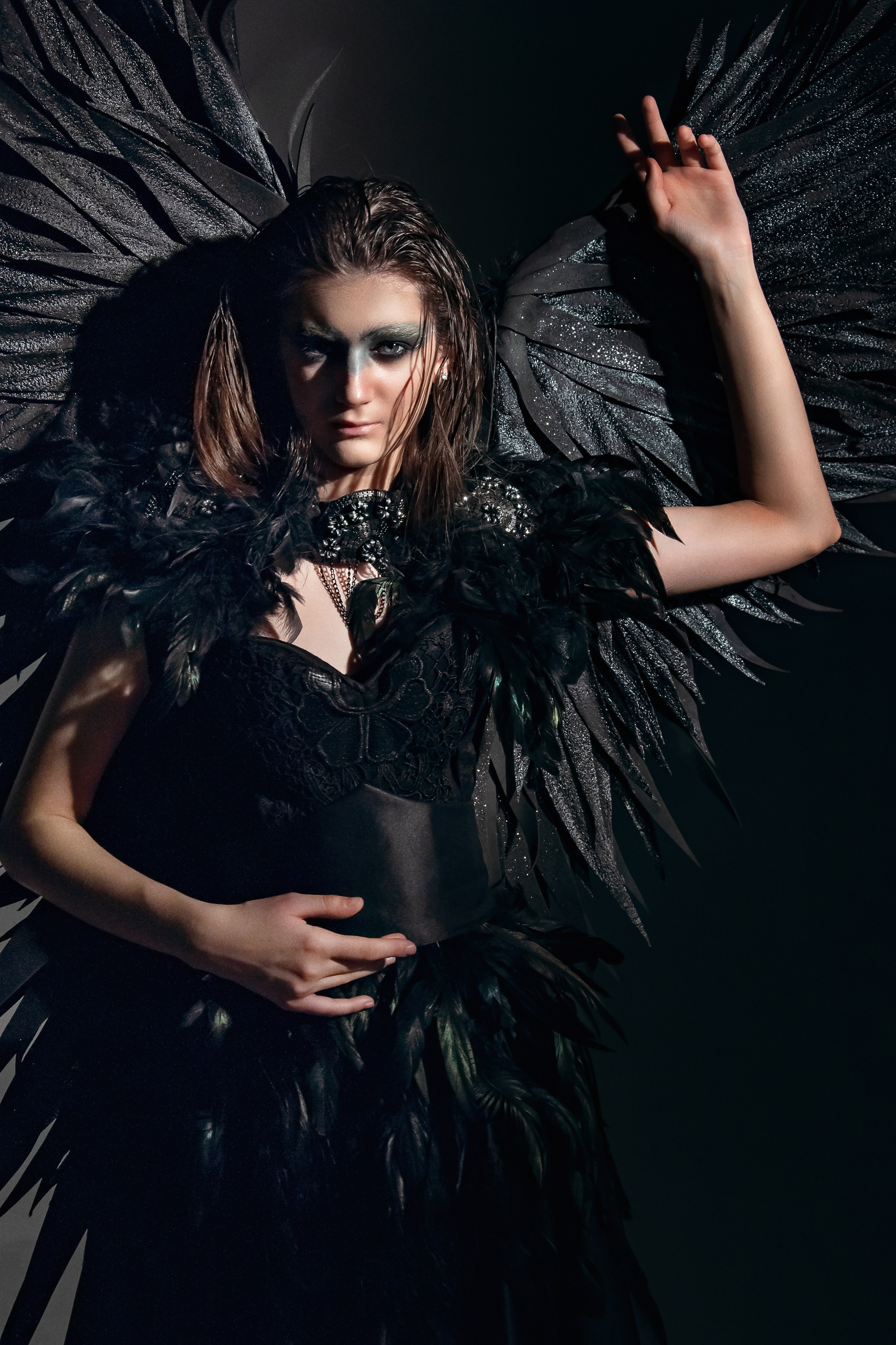 Автор Татьяна Сапожникова - Ворон