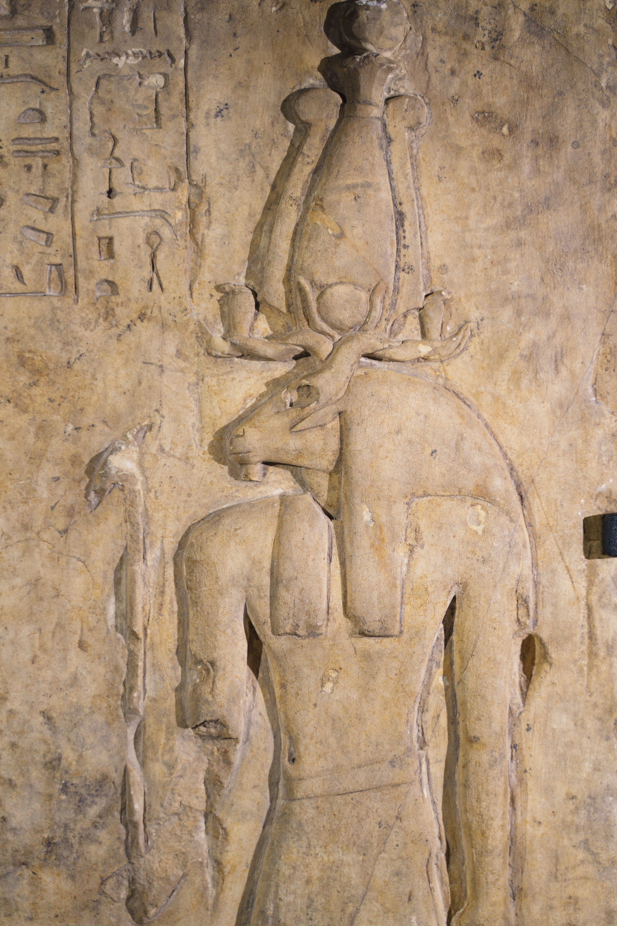 Египет. Фотографии Дмитрия Захаренко