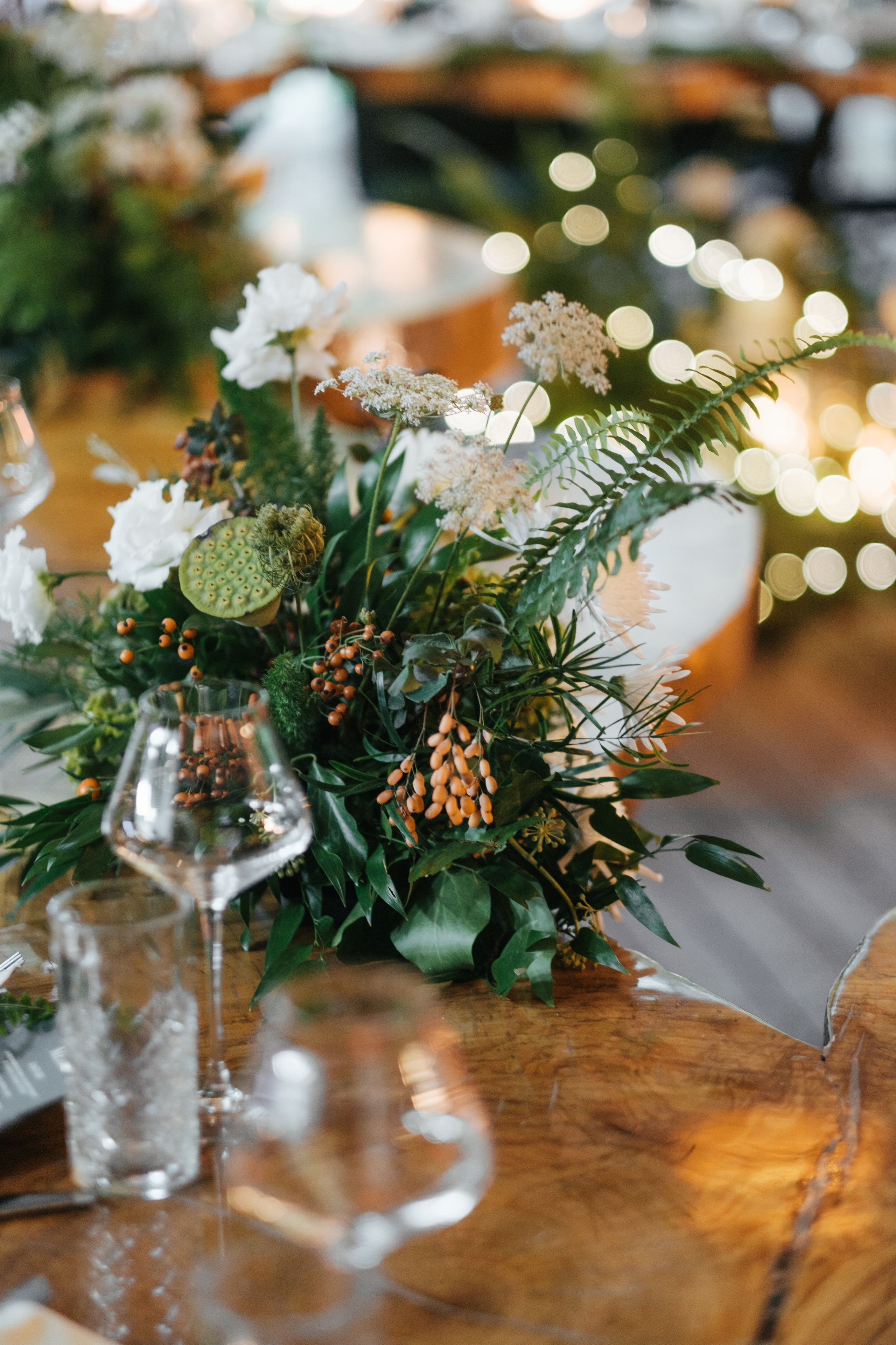 Кот и Дракон. Свадебный Видеограф Фотограф в Сочи