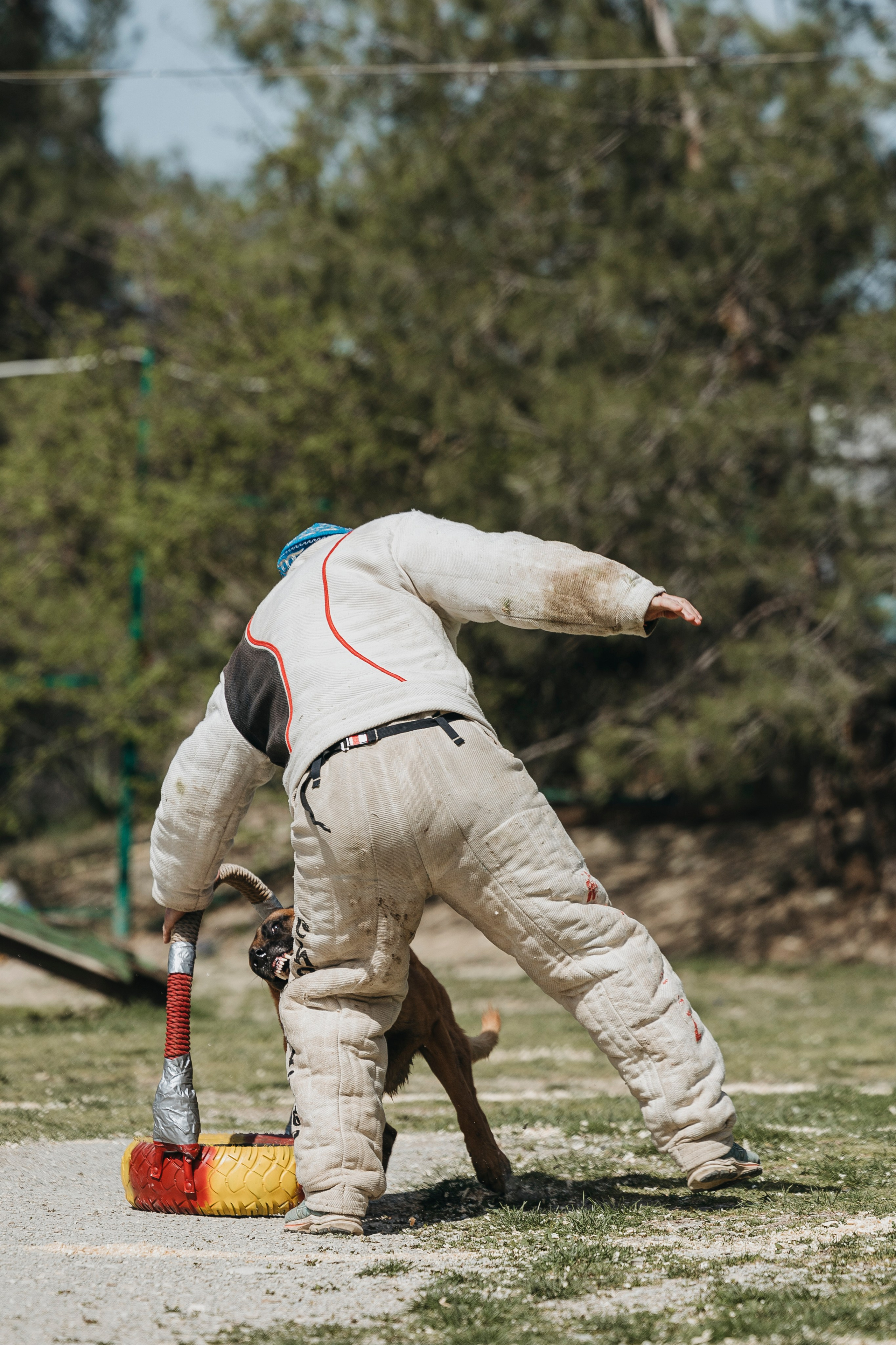 Геленджик Мондьоринг. Фотограф-анималист Анна Маринич