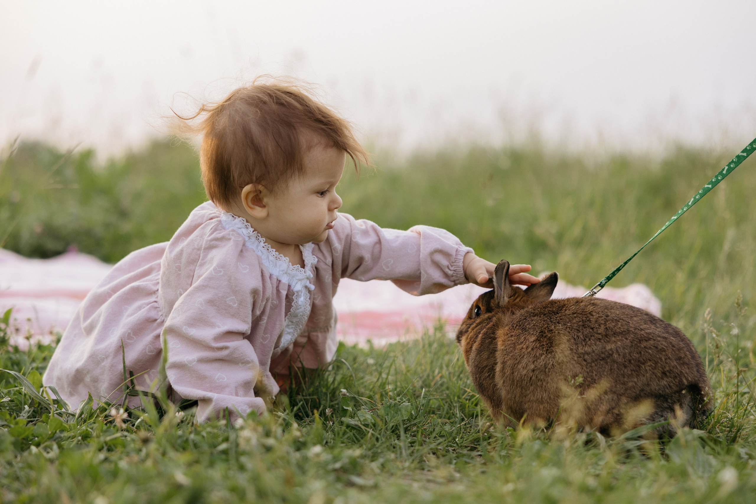 Песни и самолеты. Свадебный фотограф в Москве Полина Лелетко