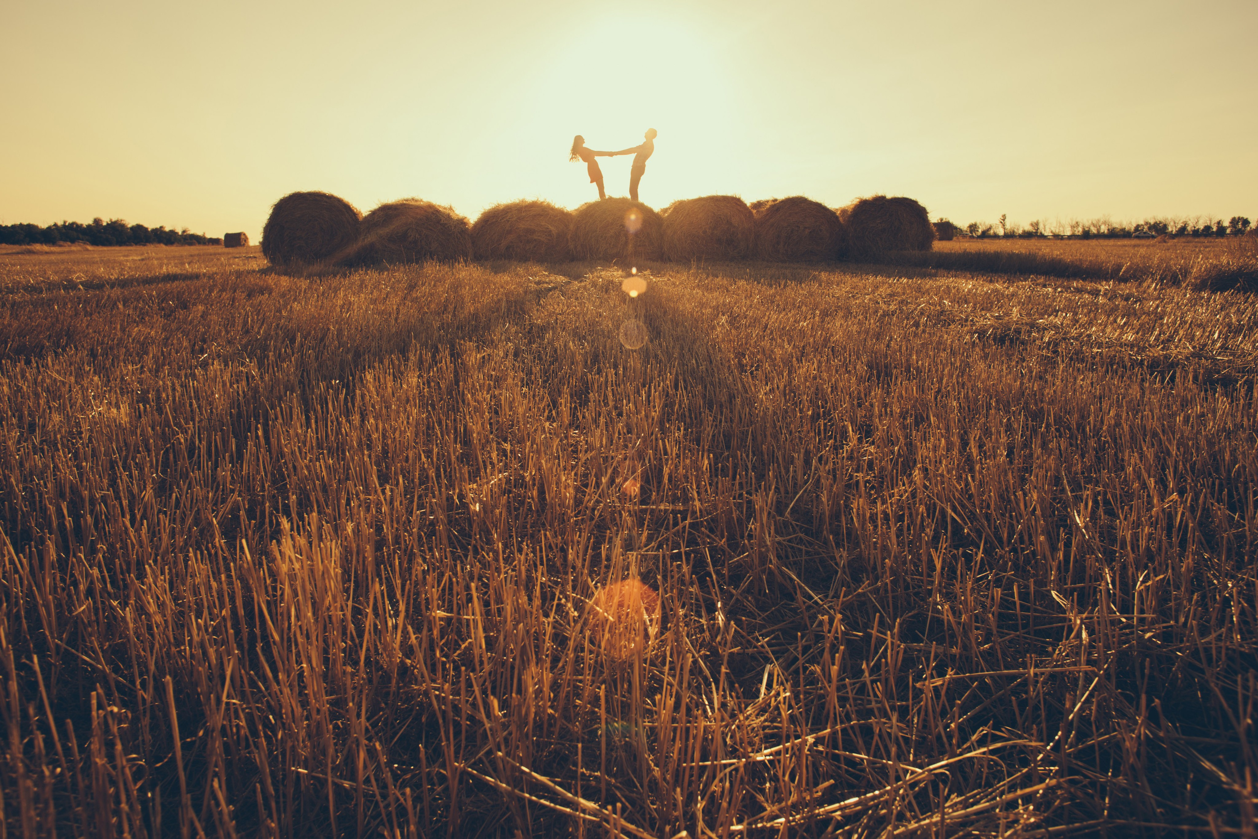 Чапаевские поля. Wedding photographer