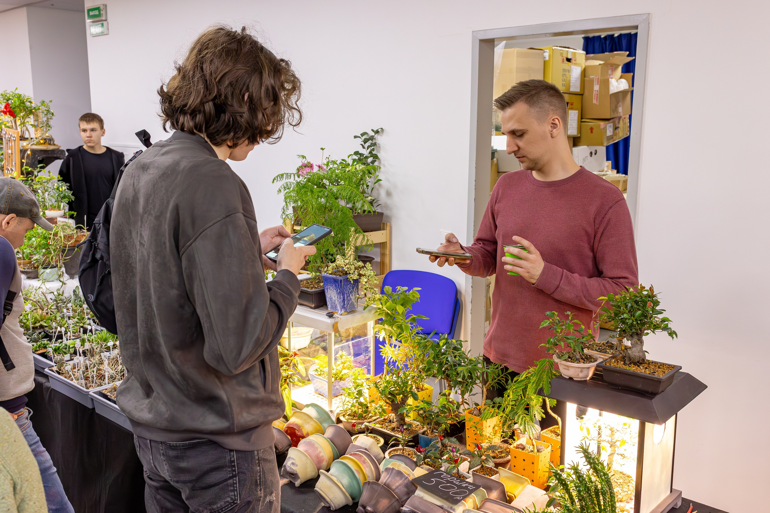Орхидиум май 2025. Александра Куликова фотограф, Москва