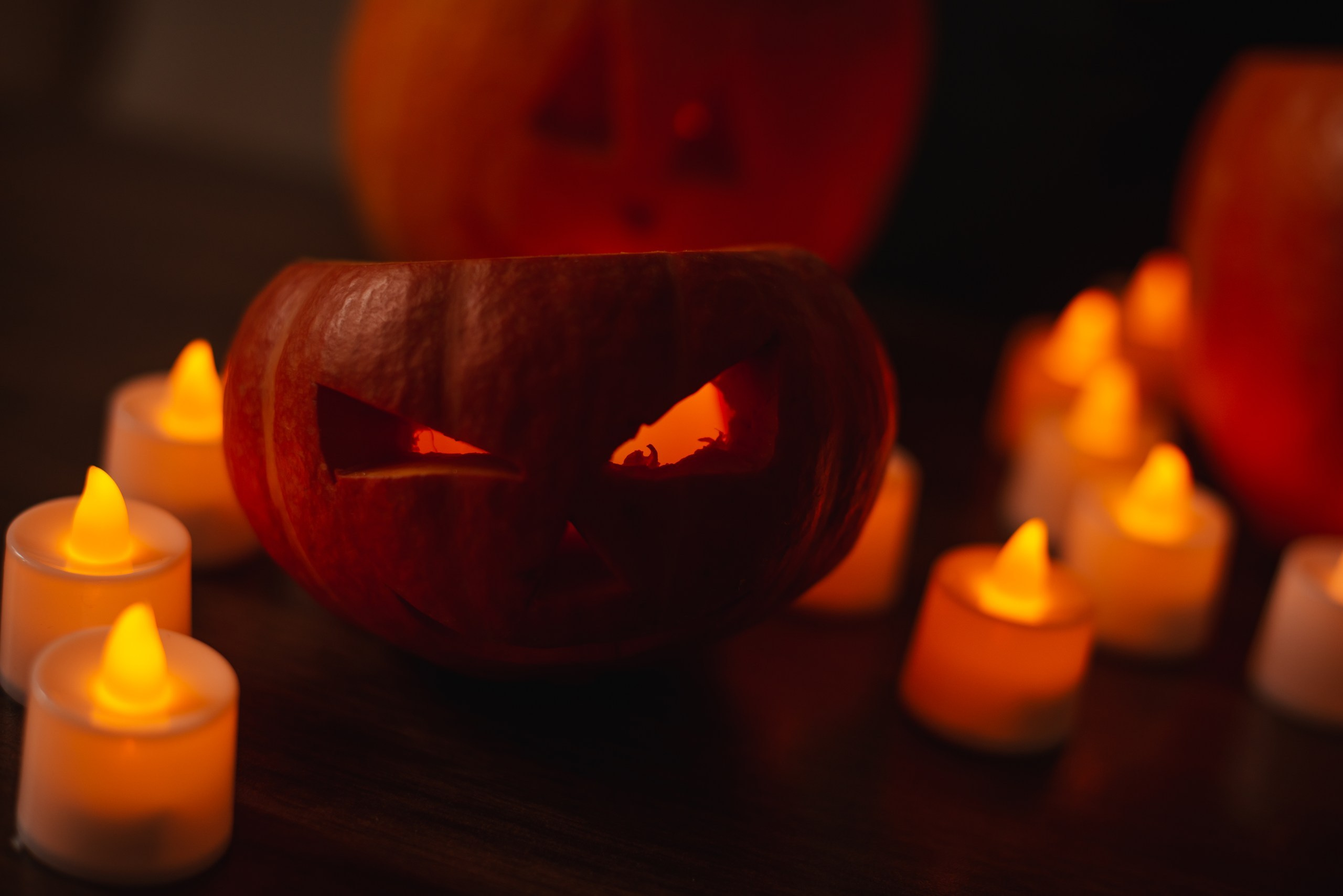 Kids Halloween 🎃. Семейный фотограф в Красноярске
