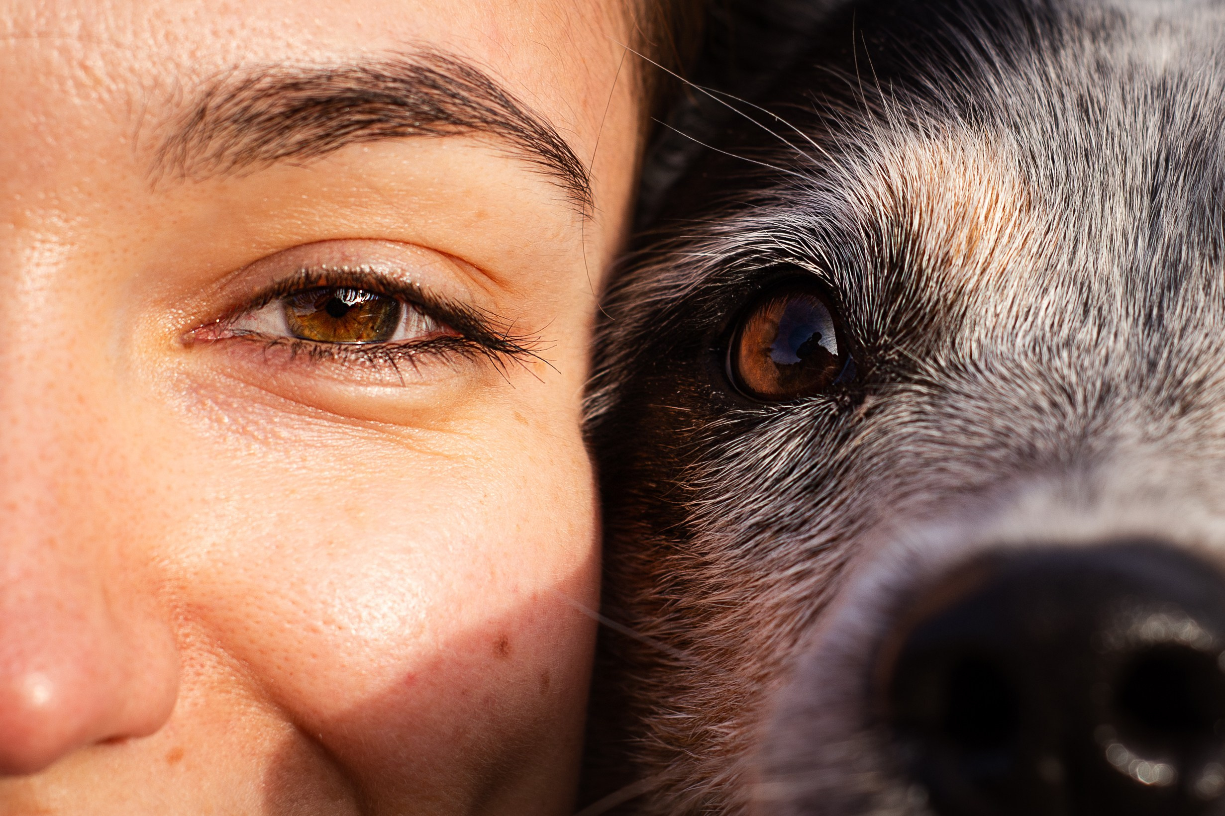 Юля, Антон и Лу. Фотограф-анималист Мария Баркевич | Москва