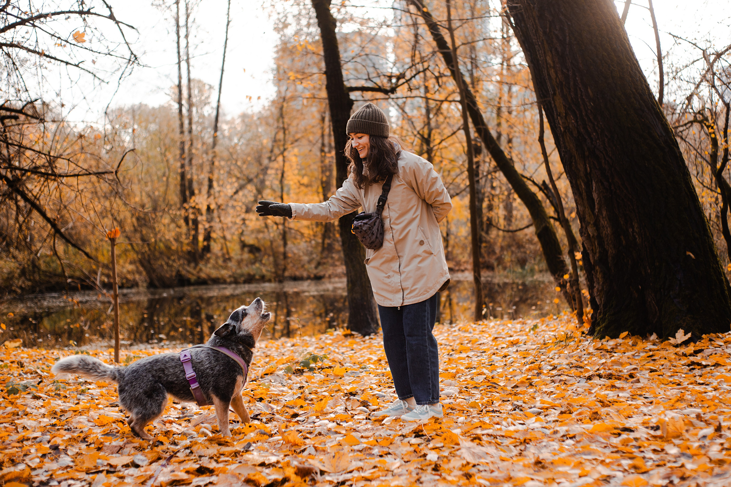 Юля, Антон и Лу. Фотограф-анималист Мария Баркевич | Москва