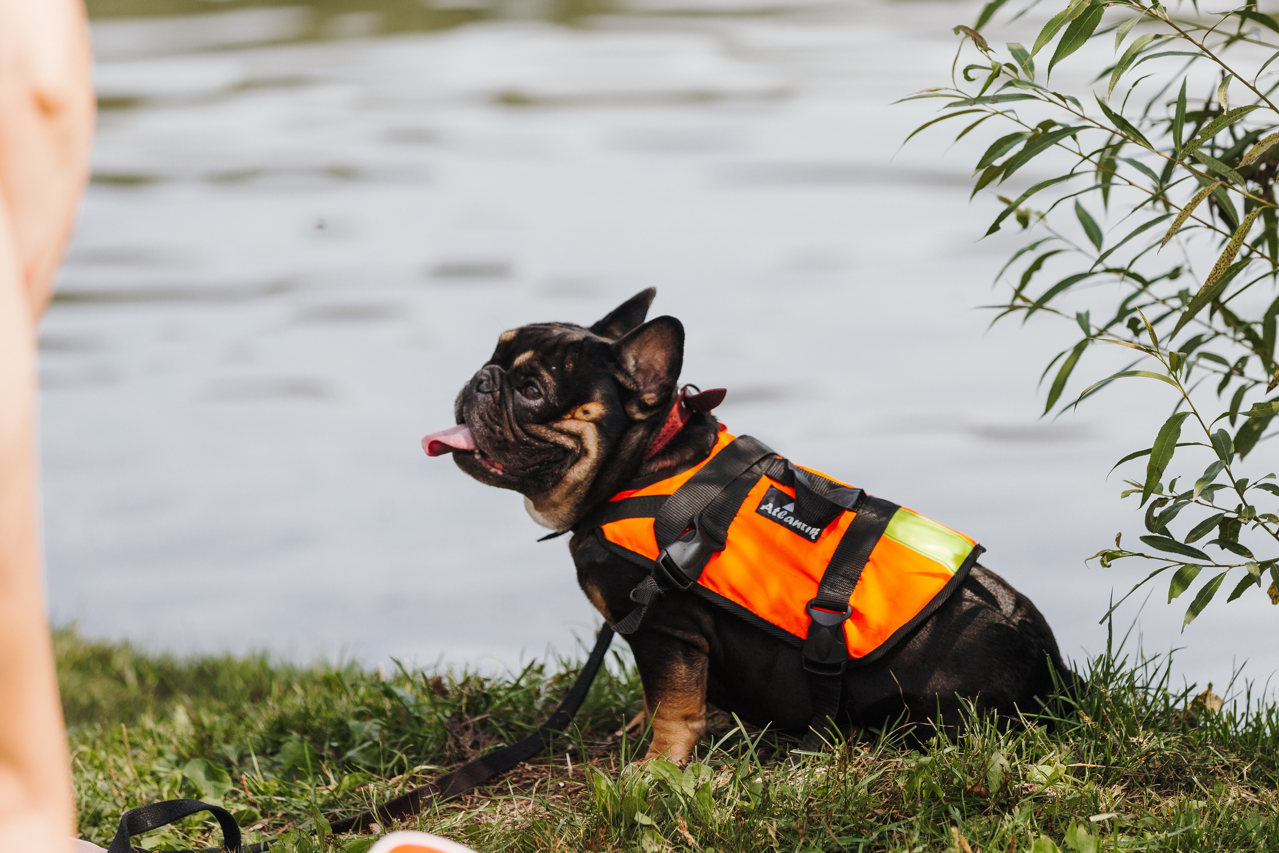 Petshop Sup day. Фотограф анималист Кристина Карпова, Москва
