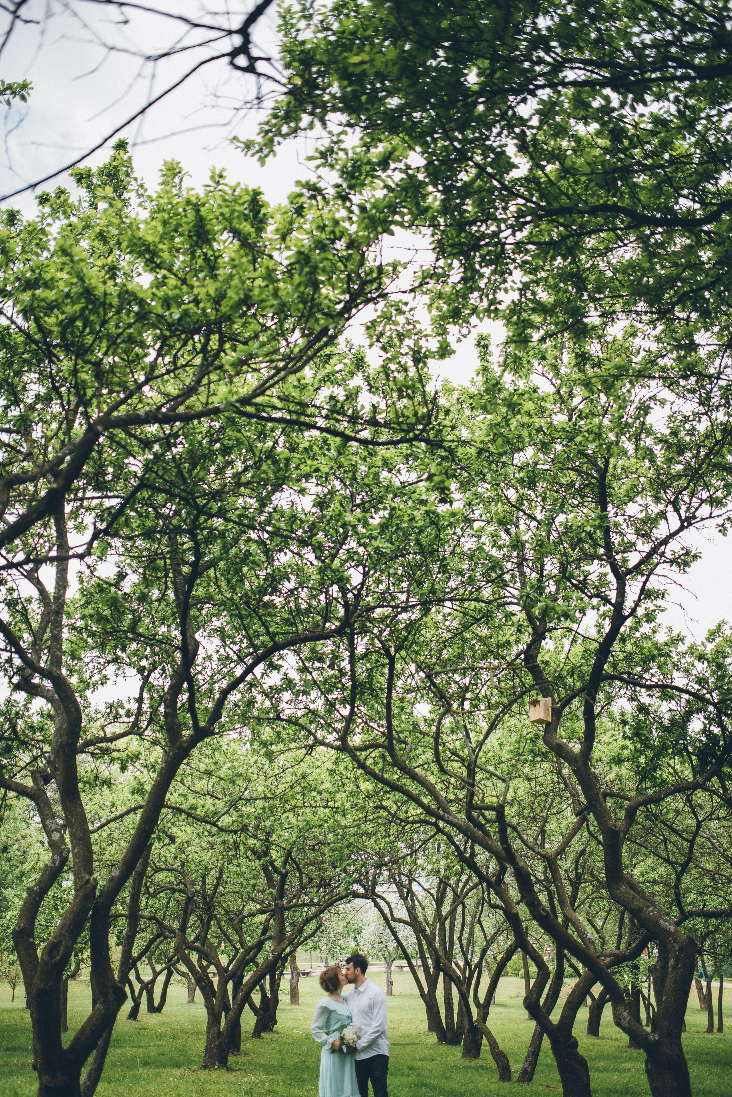 Свадьбы. Свадебный и портретный фотограф Диана Першай