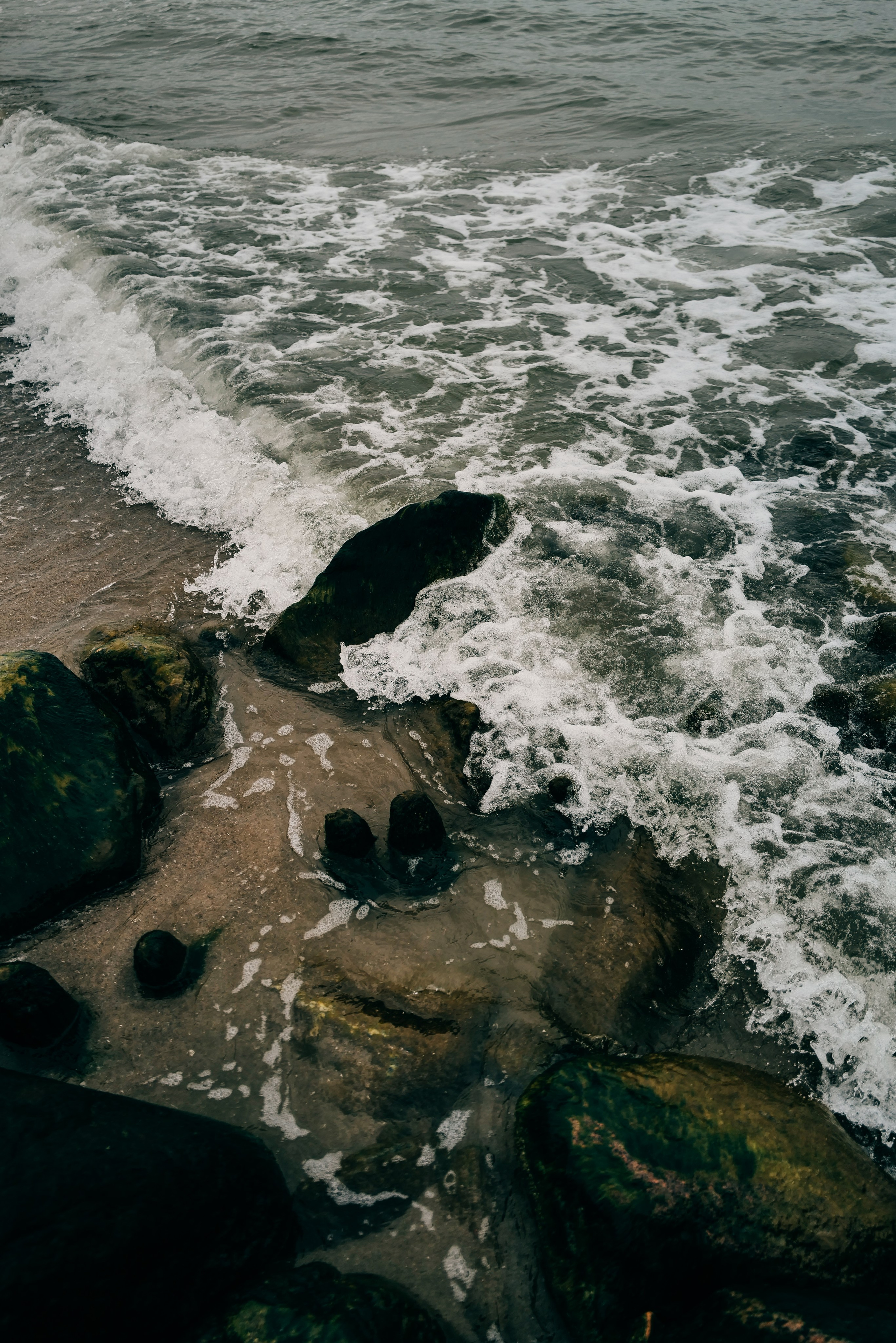 Zelenogradsk. Фотограф София Комкина