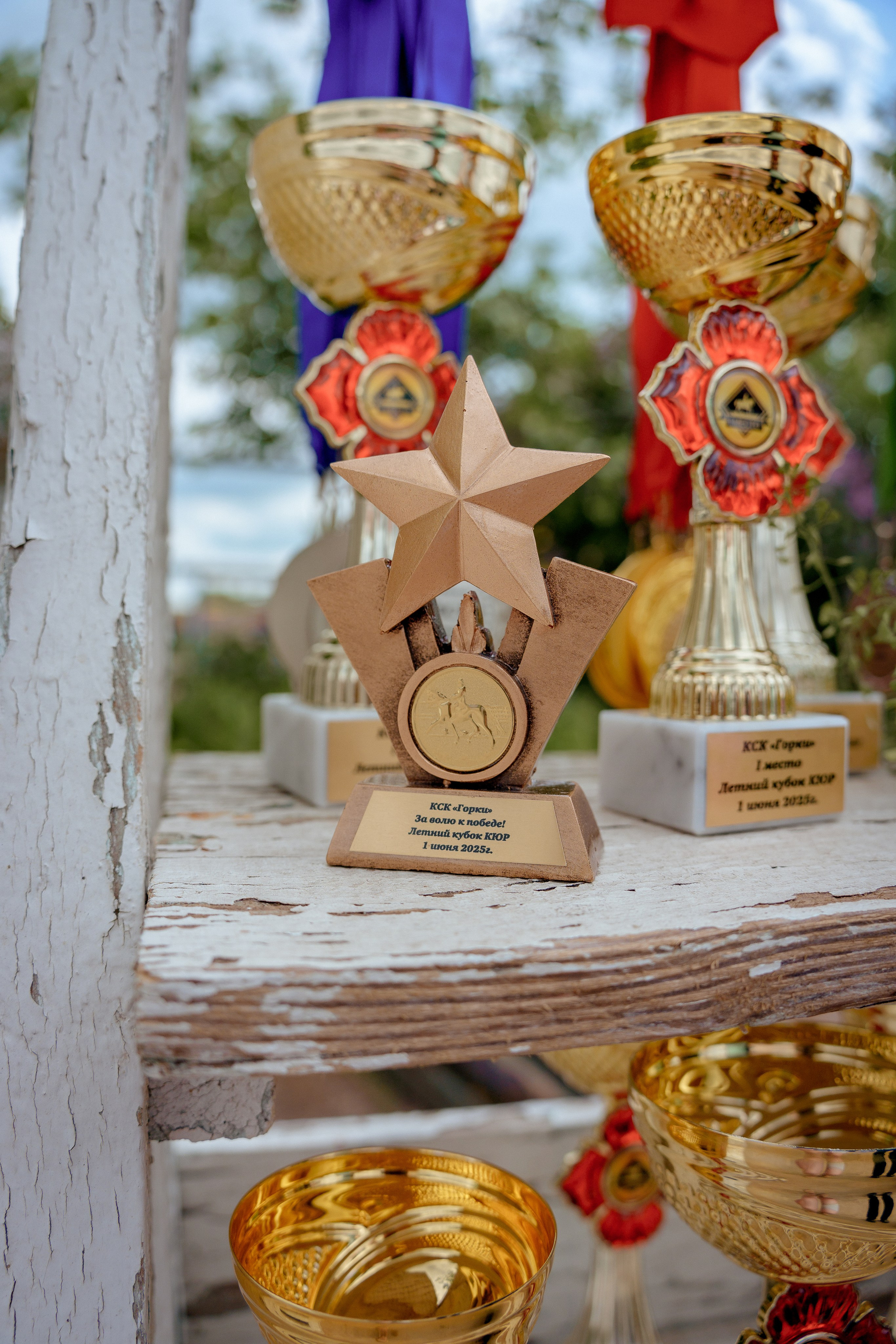 Конный клуб Горки. Портретный и семейный фотограф в Москве/Видное