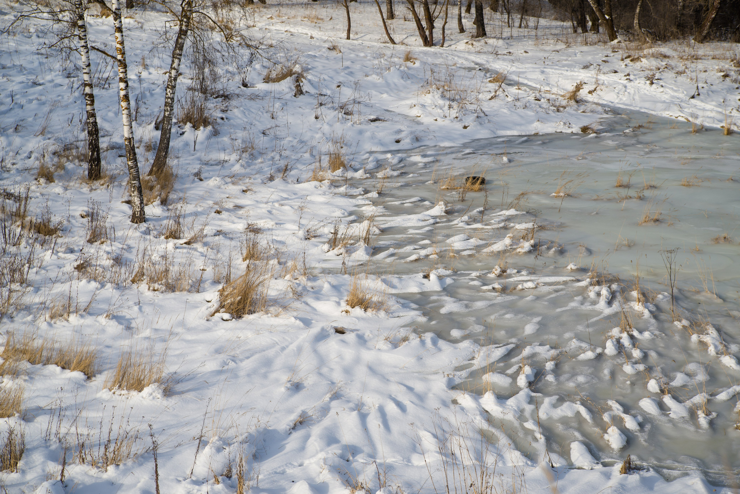Singles 2. Alyona Kochetkova | Photographer and photography educator