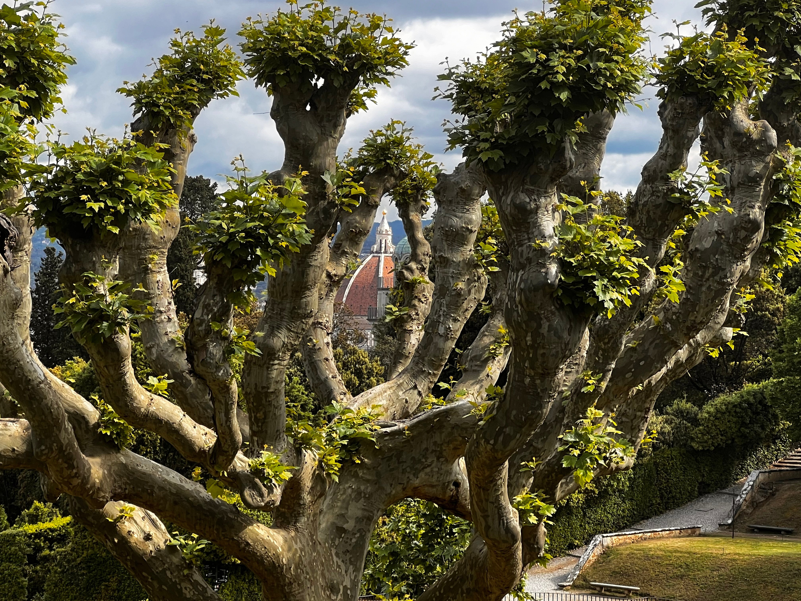 Италия. Зарисовки путешествий. Творческий фотограф Ирина Баландина.  Санкт-Петербург, Мурманск