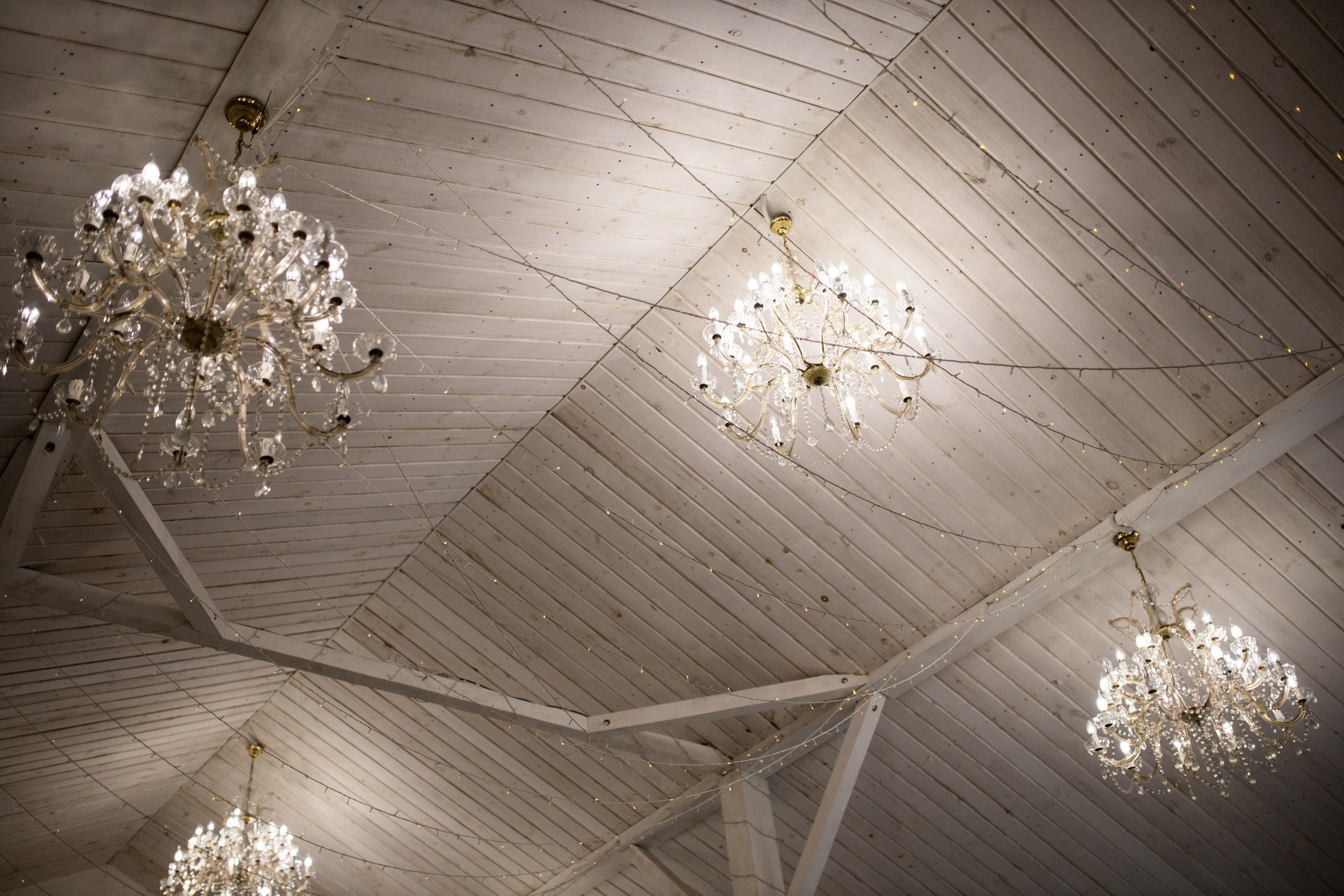 Леонид и Полина (выездная регистрация и банкет). Свадебный фотограф Екатерина Черкасская