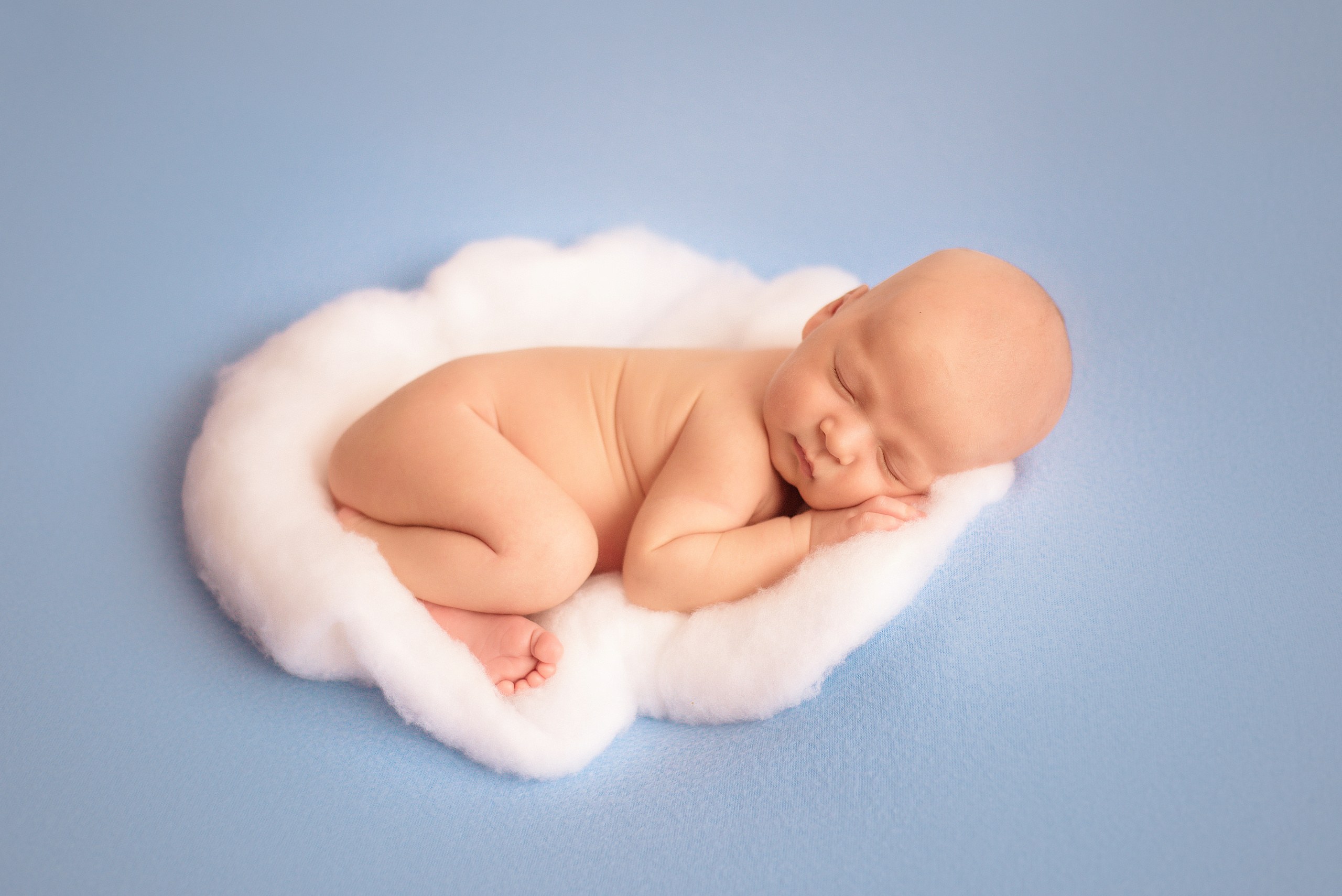 Альберт. Фотограф новорожденных Вера Мереуца Оренбург