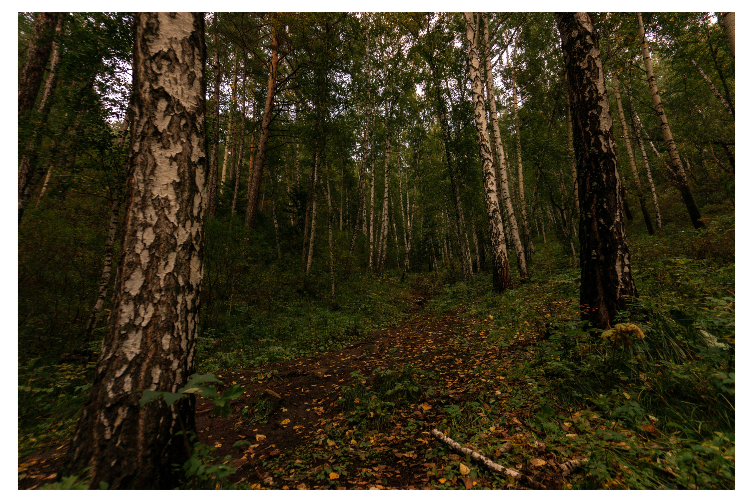 28.08.2025 | Красноярск. Kuznetsov | Фотограф в Красноярске