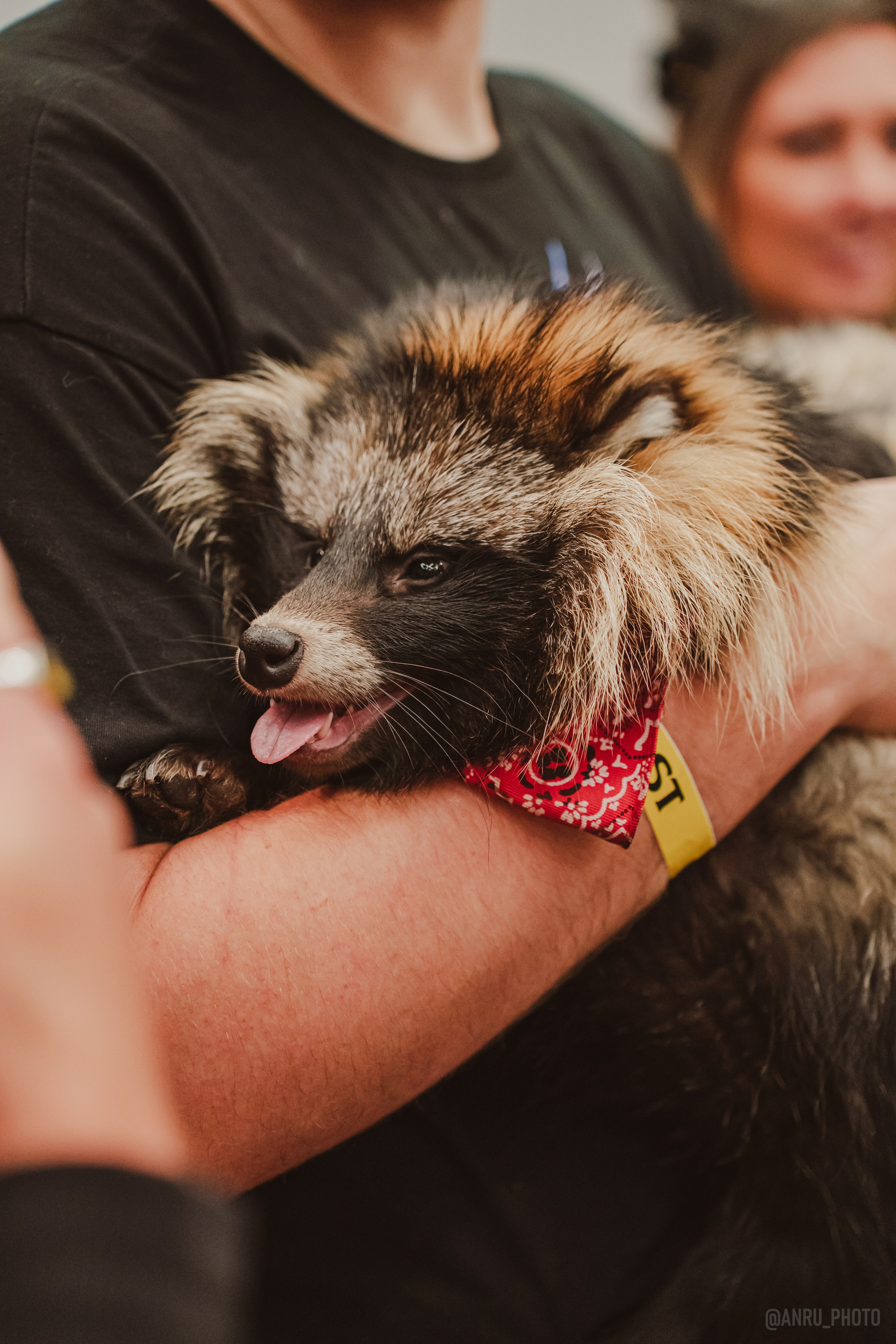 Fox Family fest. Репортажный фотограф Анастасия Рубцова