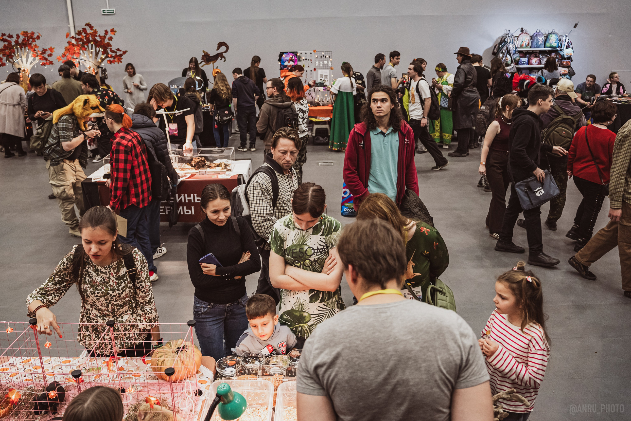 Fox Family fest. Репортажный фотограф Анастасия Рубцова